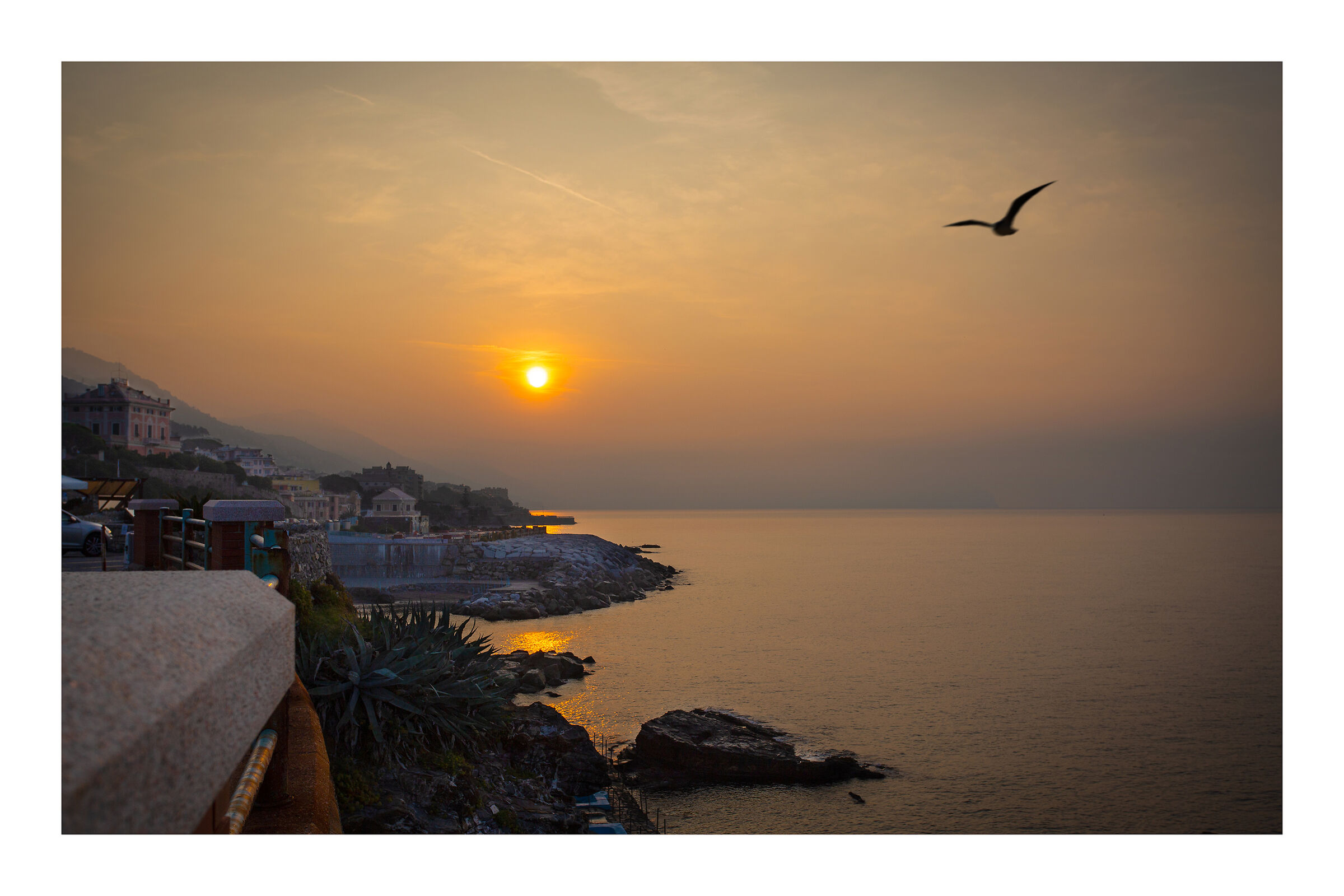 Alba e colori