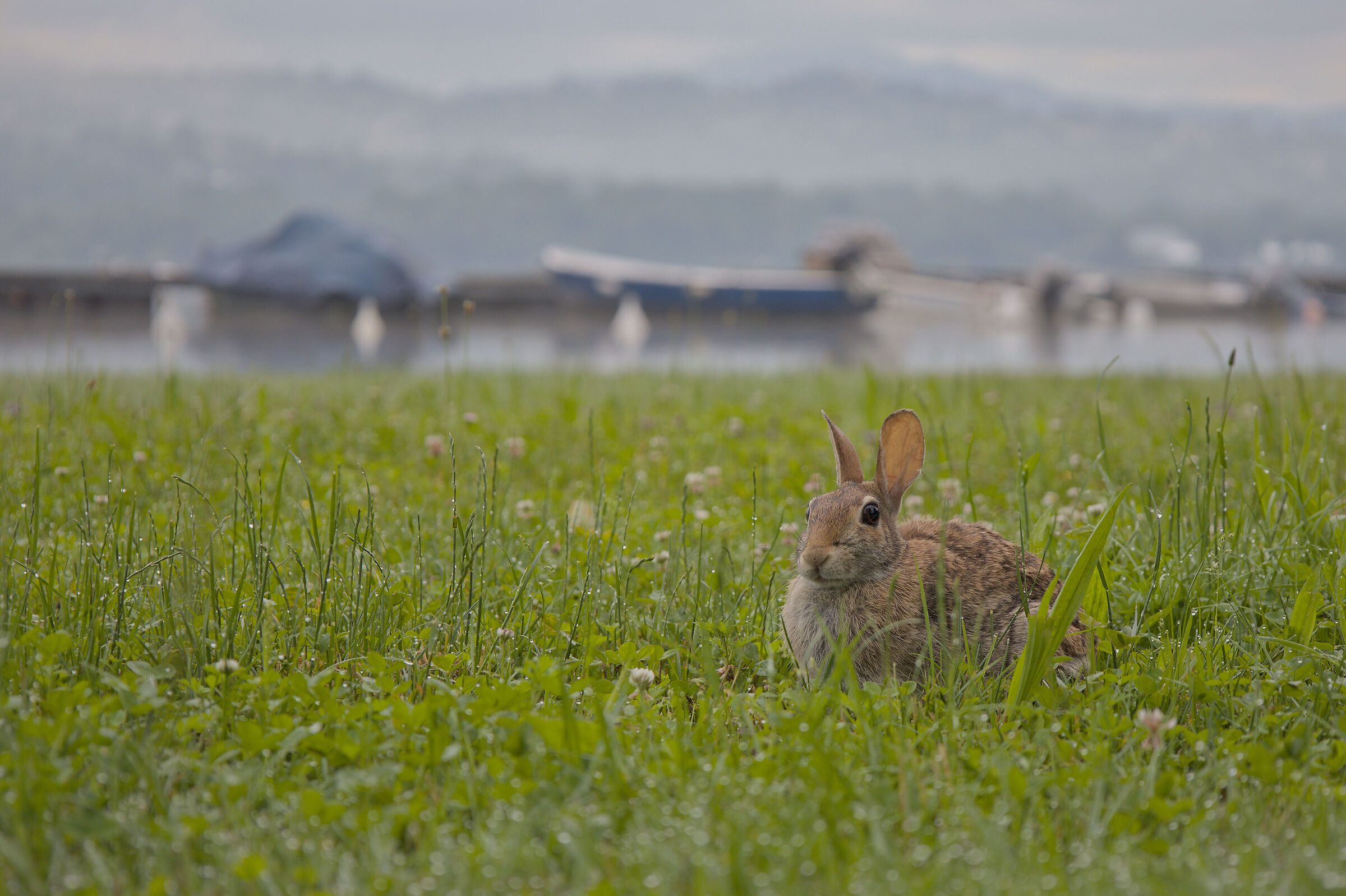 Un incontro inaspettato