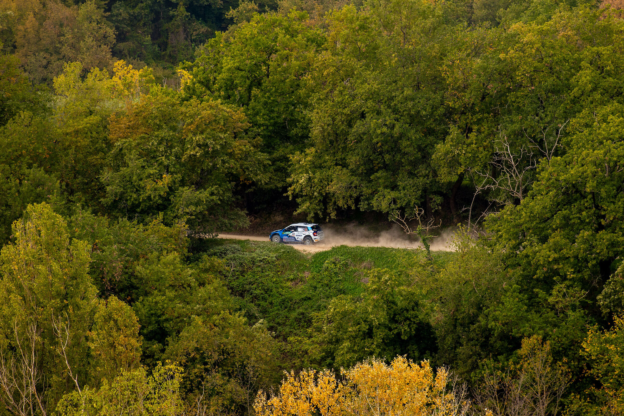 Rally delle Marche 2024