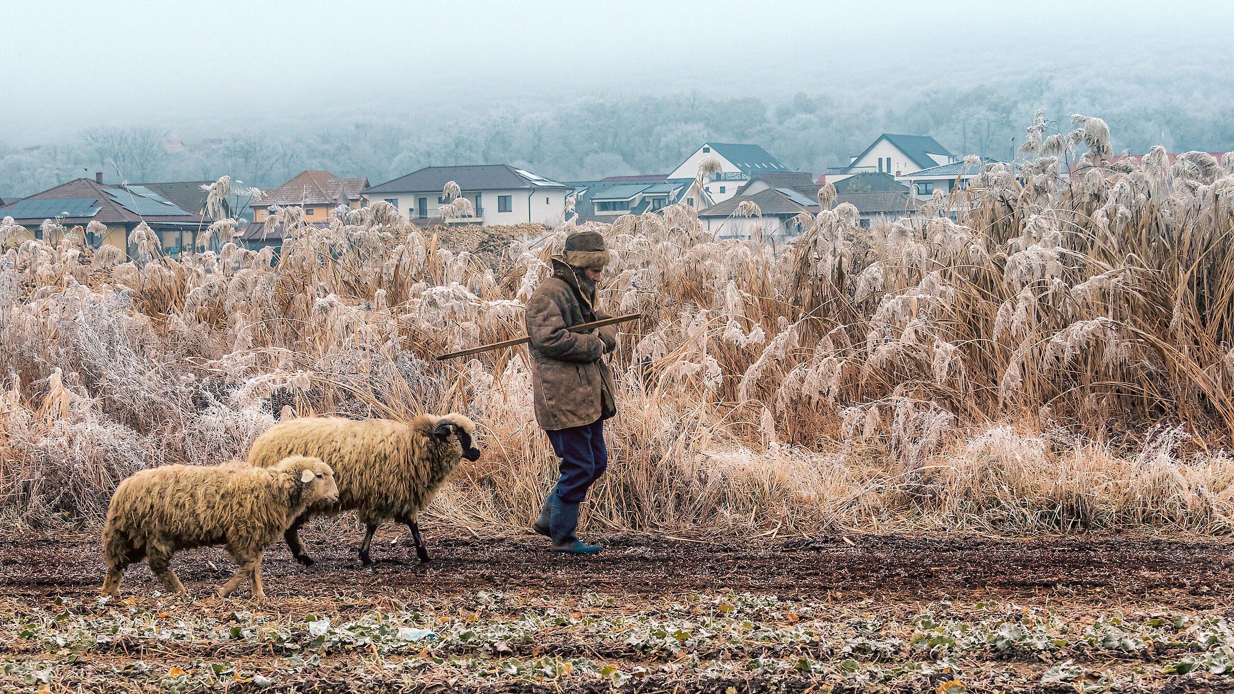 Passeggiata mattutina