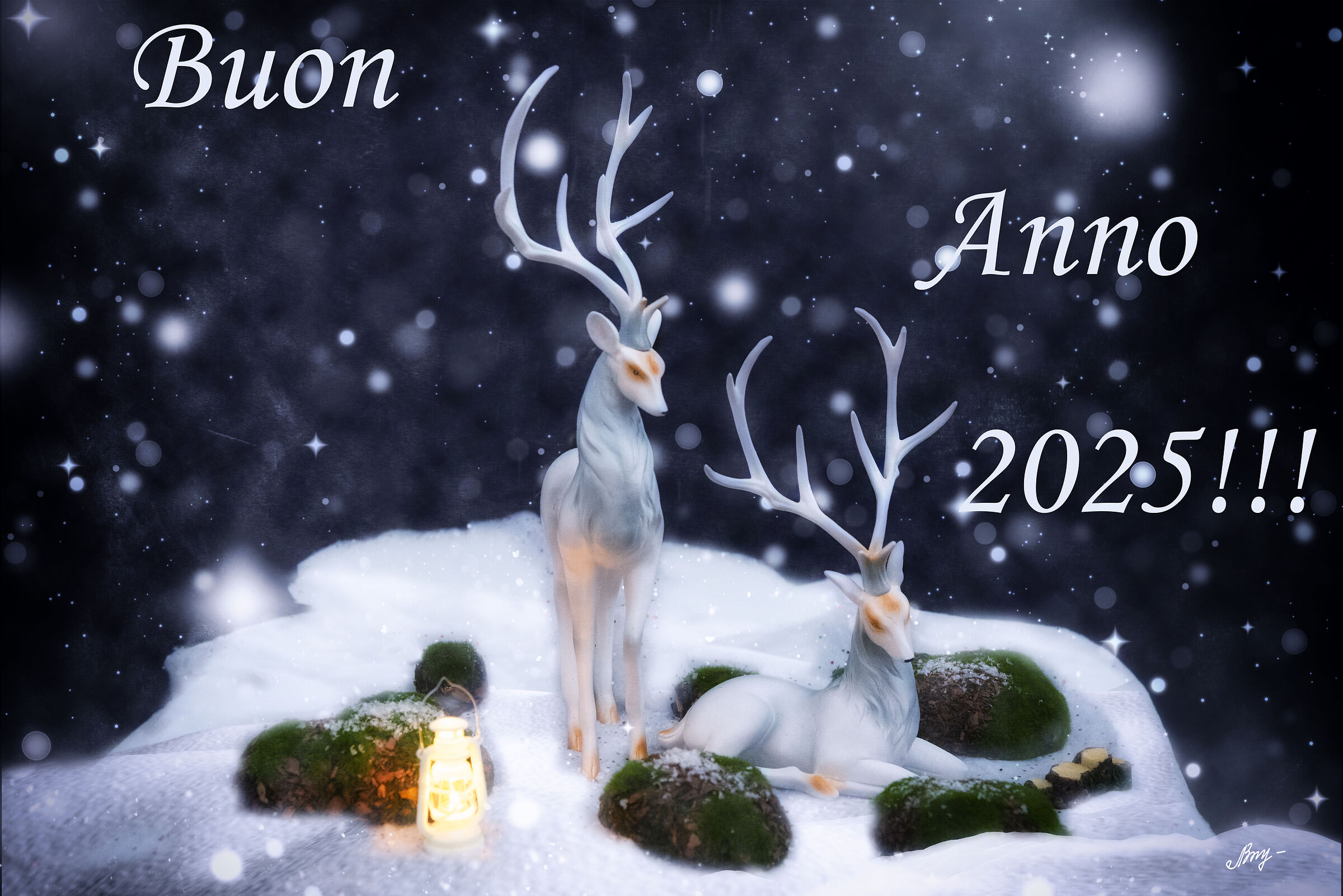 Happy New Year!!!