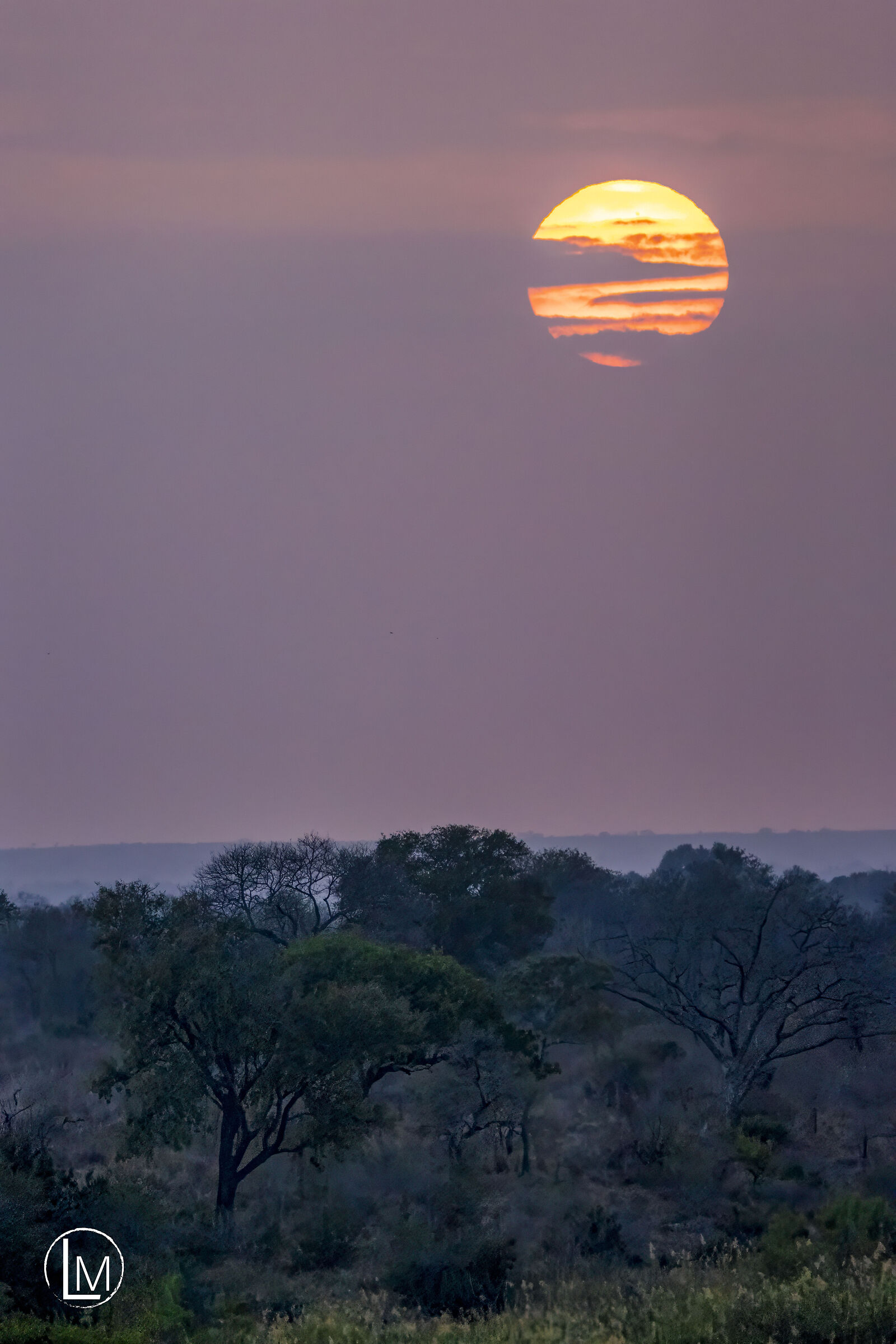 Sunrise in the Kruger