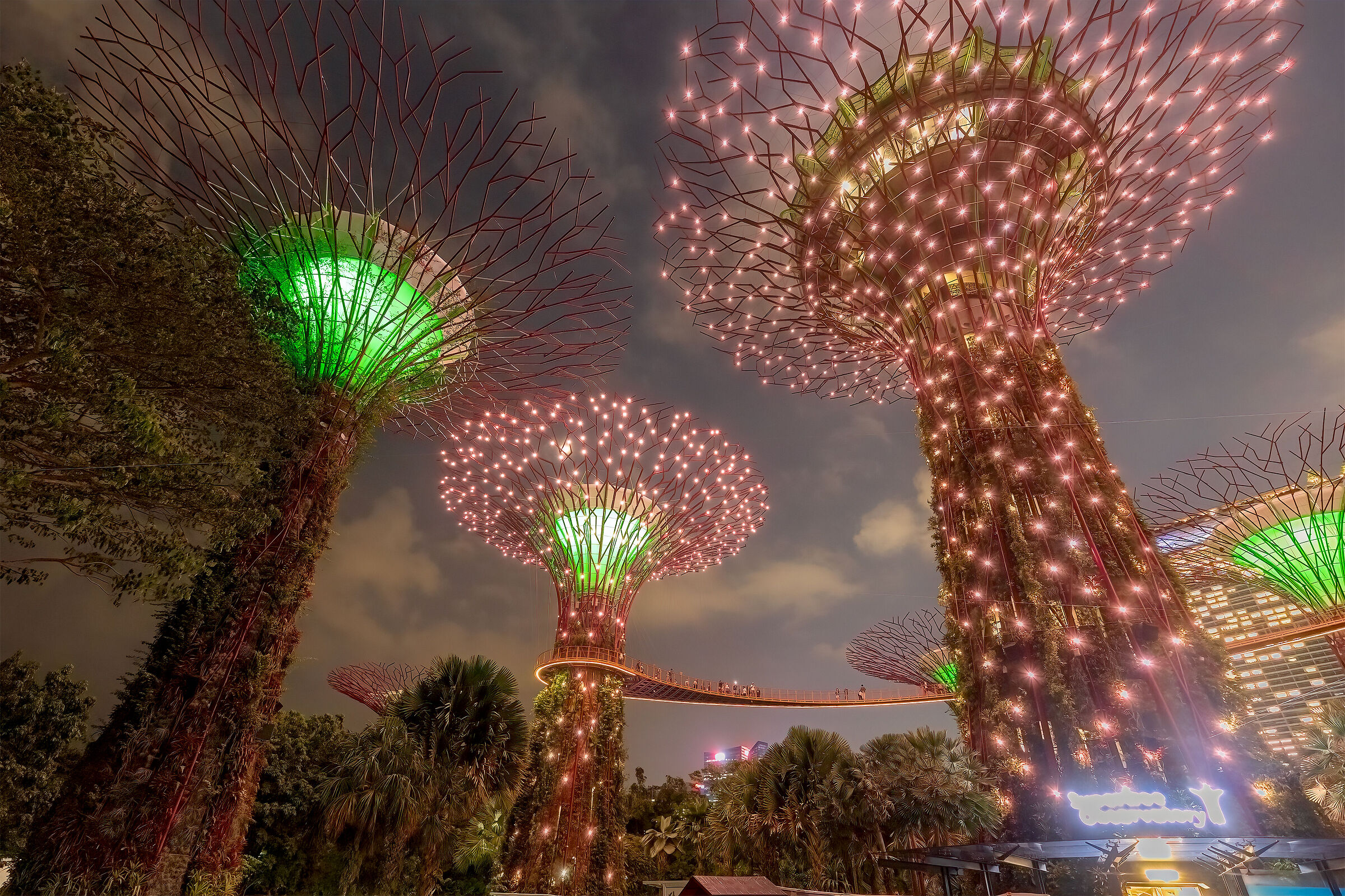 supertrees at gardens by the bay