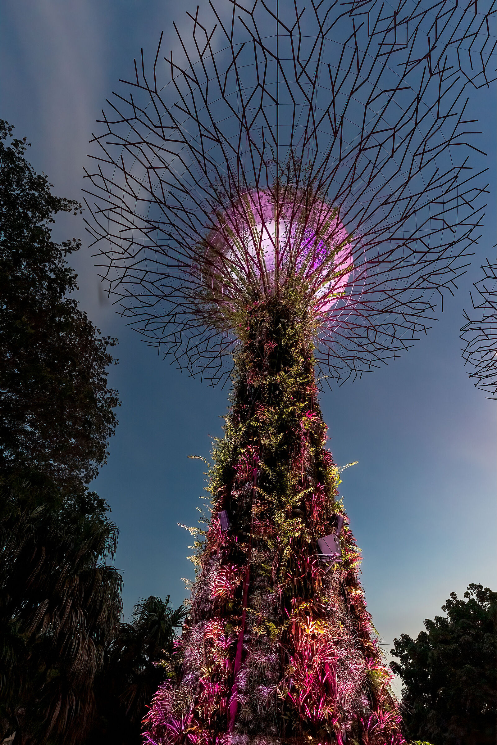 Supertree at Gardens by the Bay