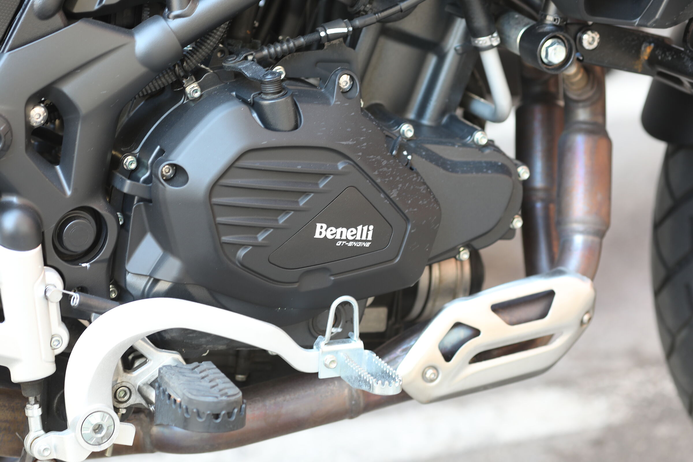 Compagna d'avventura " 2025 " Canon 5 D IV, 13...