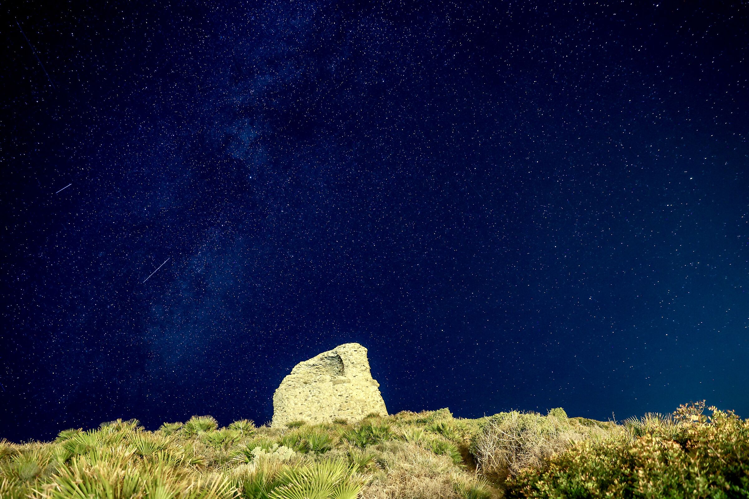New Year's Eve fishing for stars