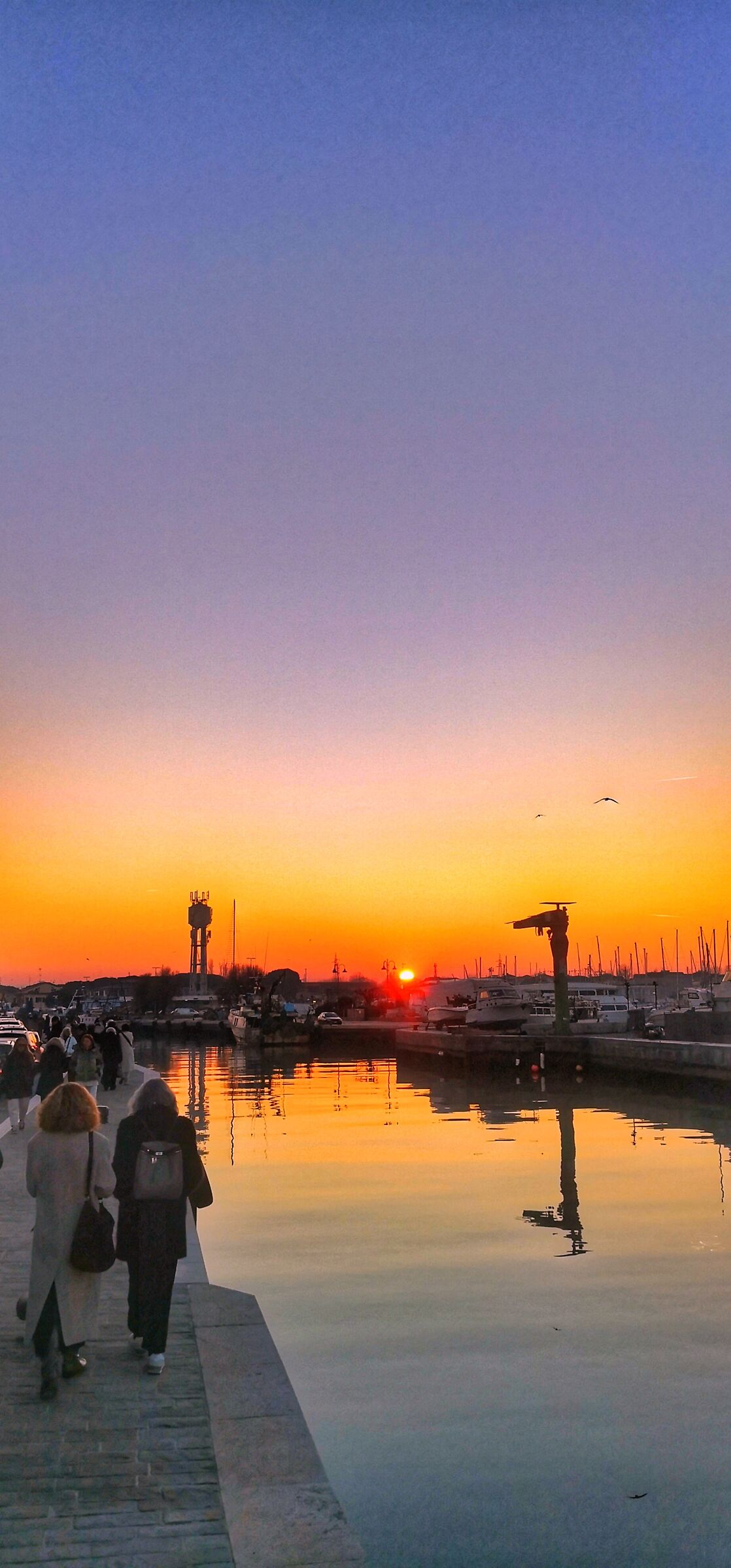 Last lights of the year...