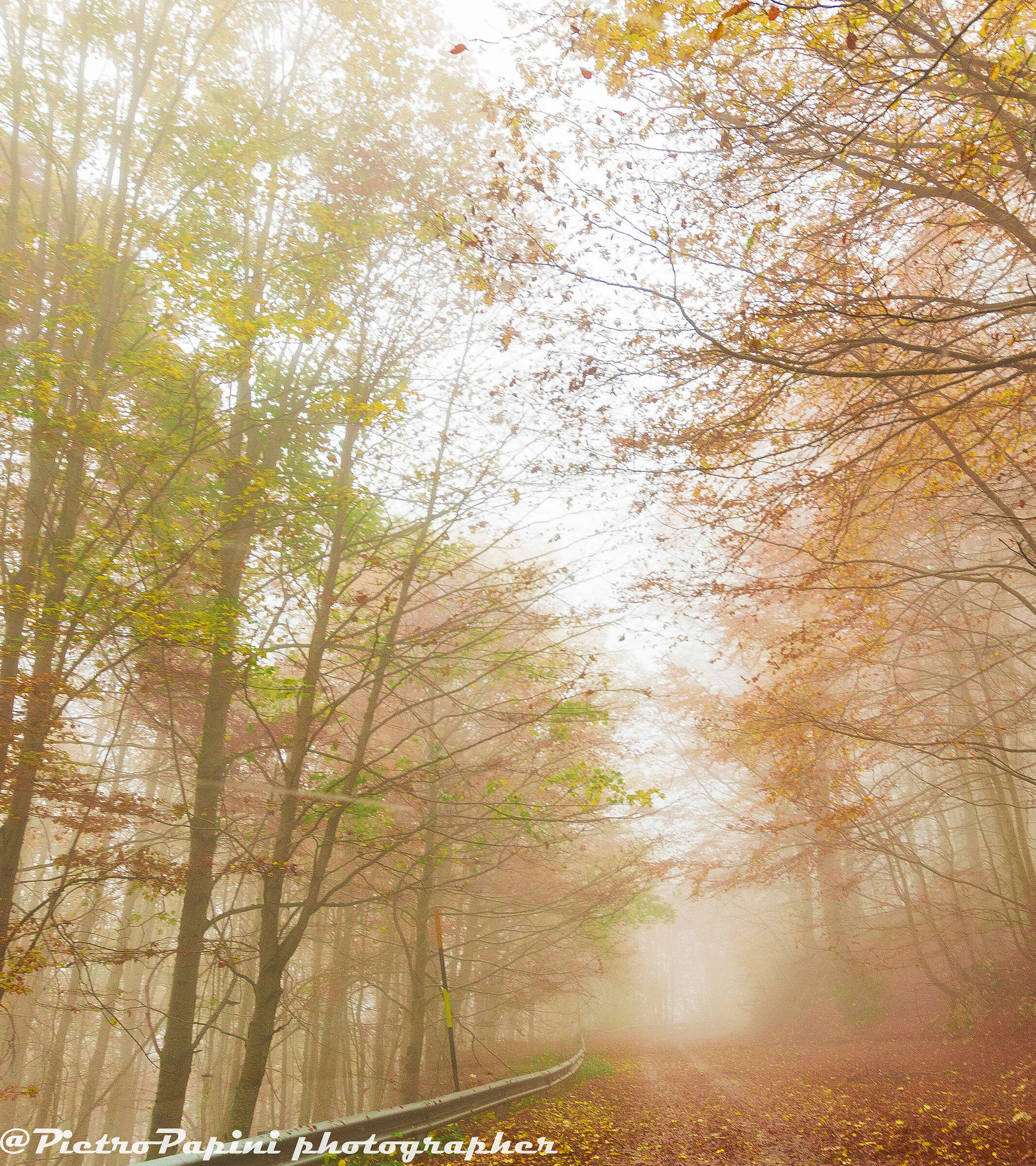 Fotografando con la nebbia