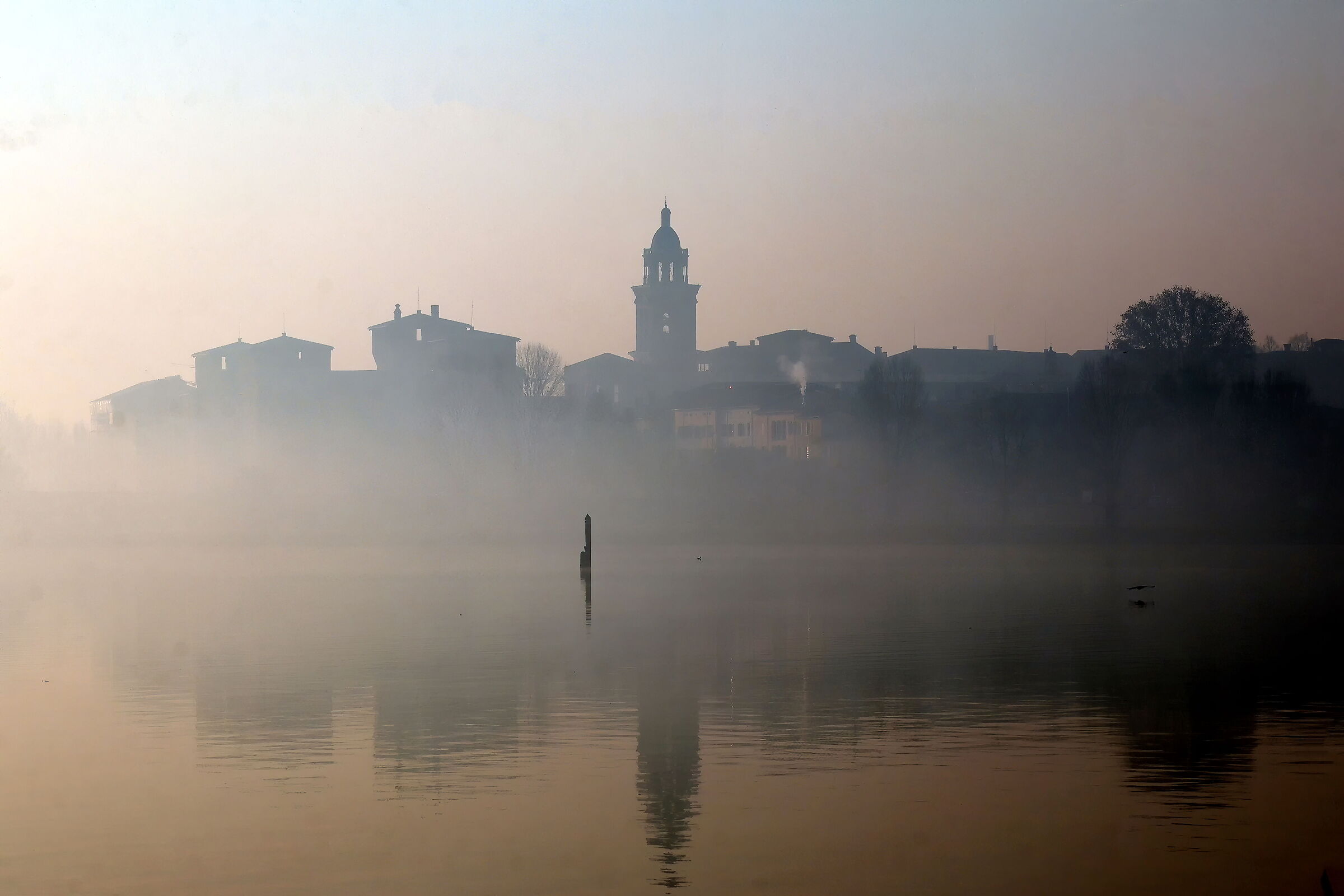 In the fog, the first lights of 2025 in Mantua.