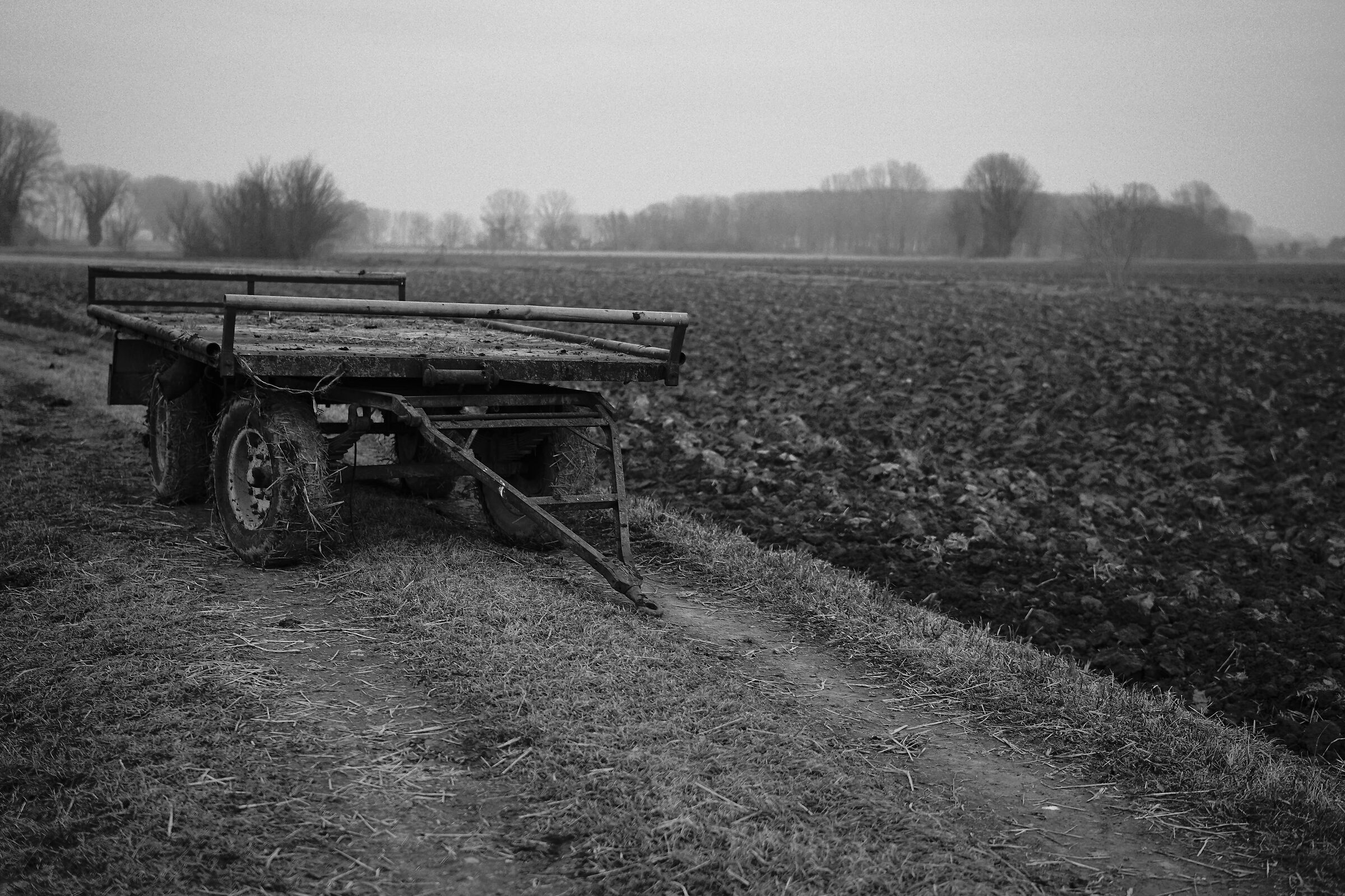 il vecchio carro e il suo campo