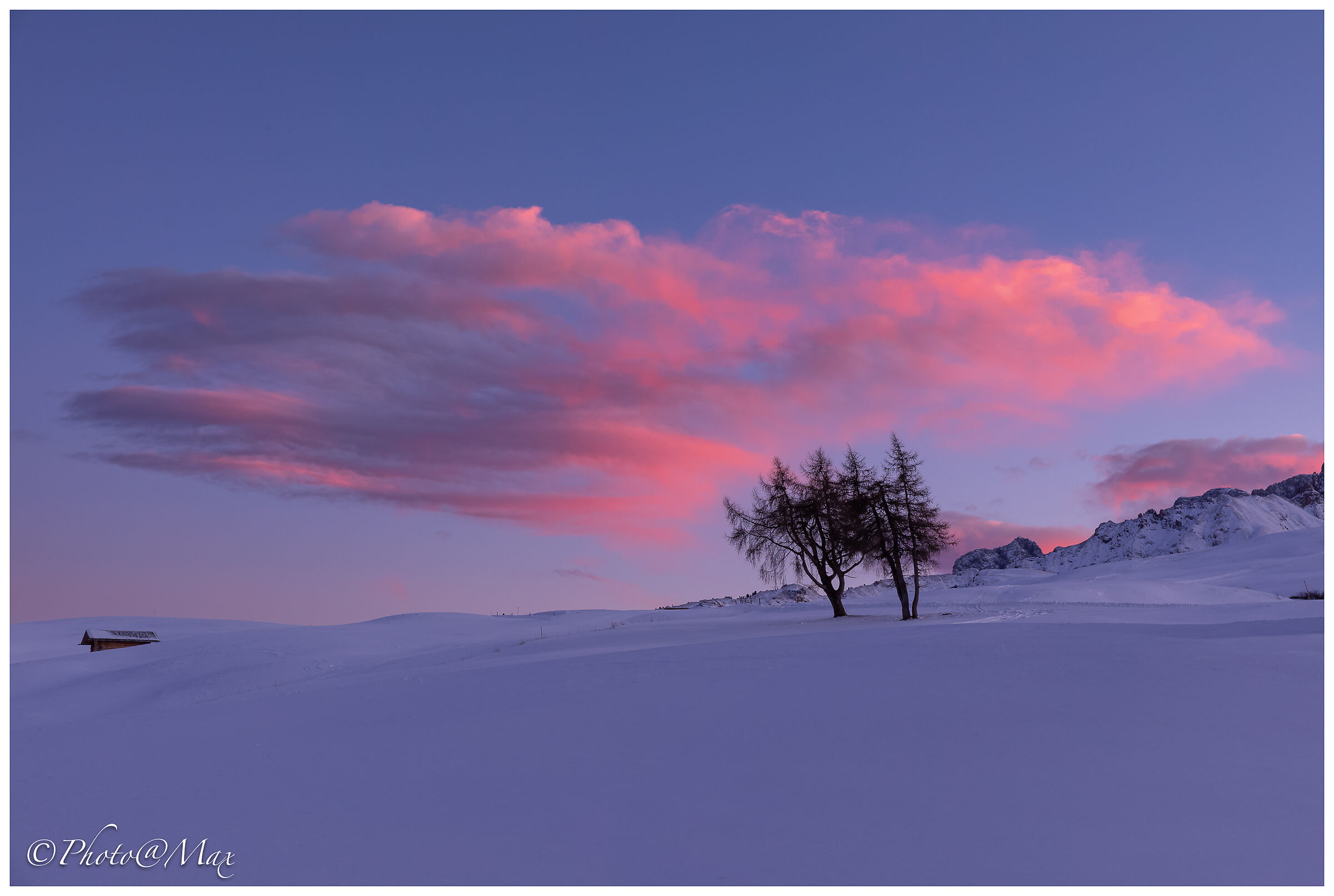 Buon Anno a tutti gli amici del forum