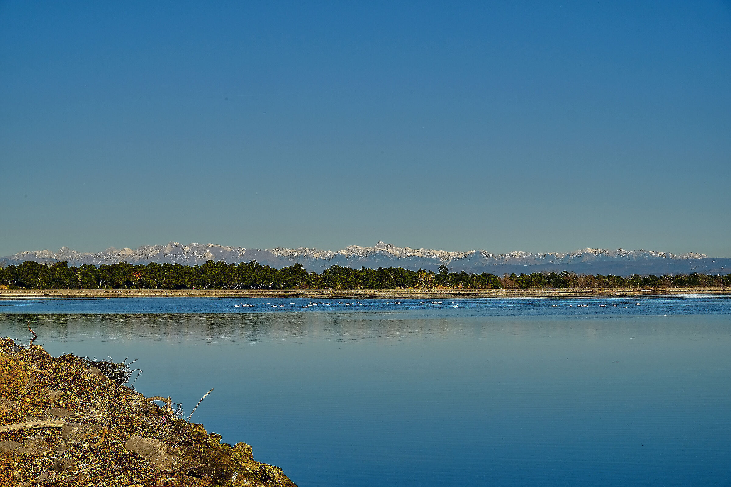Laguna di Grado