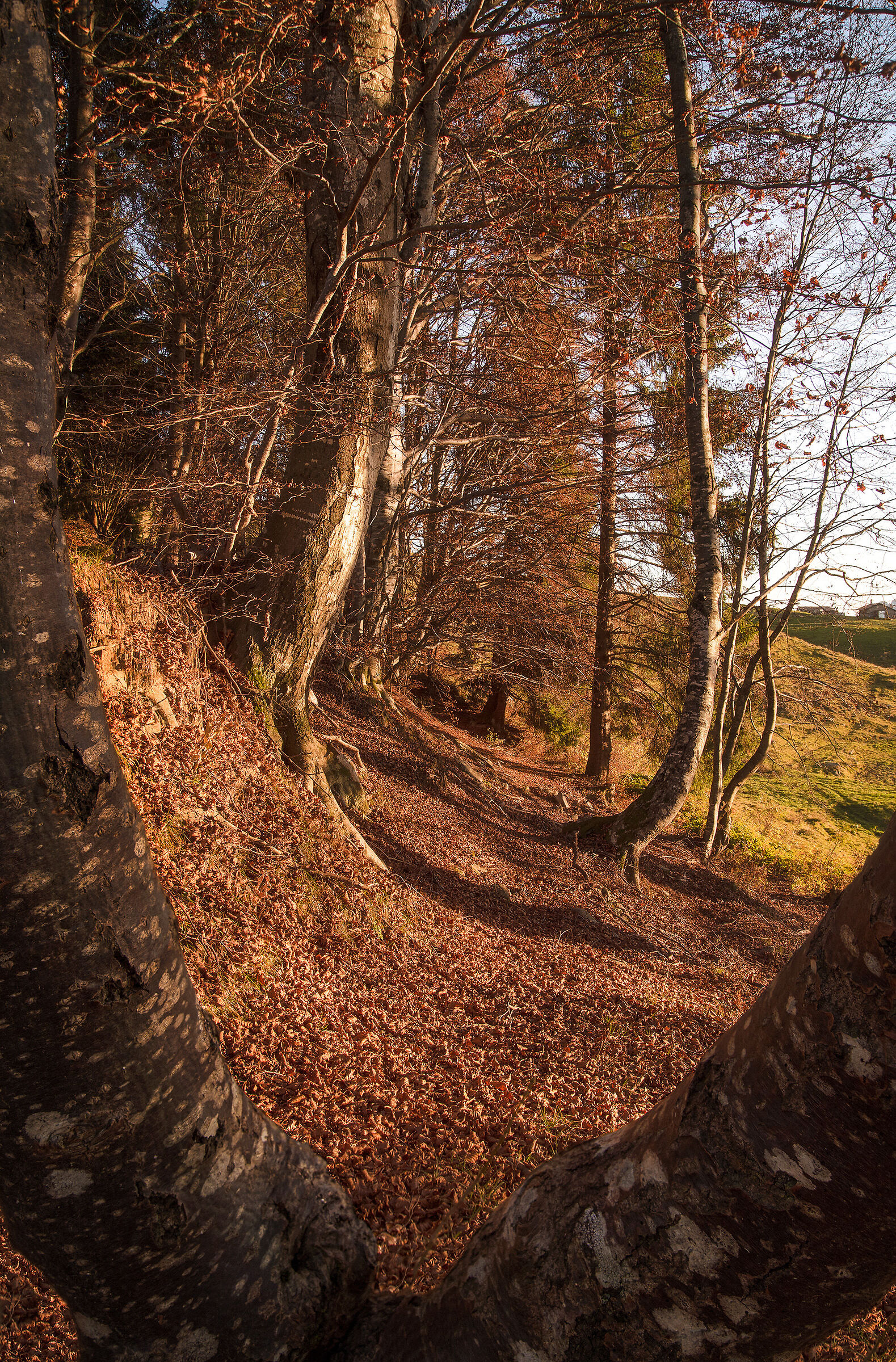 Scorci d'autunno