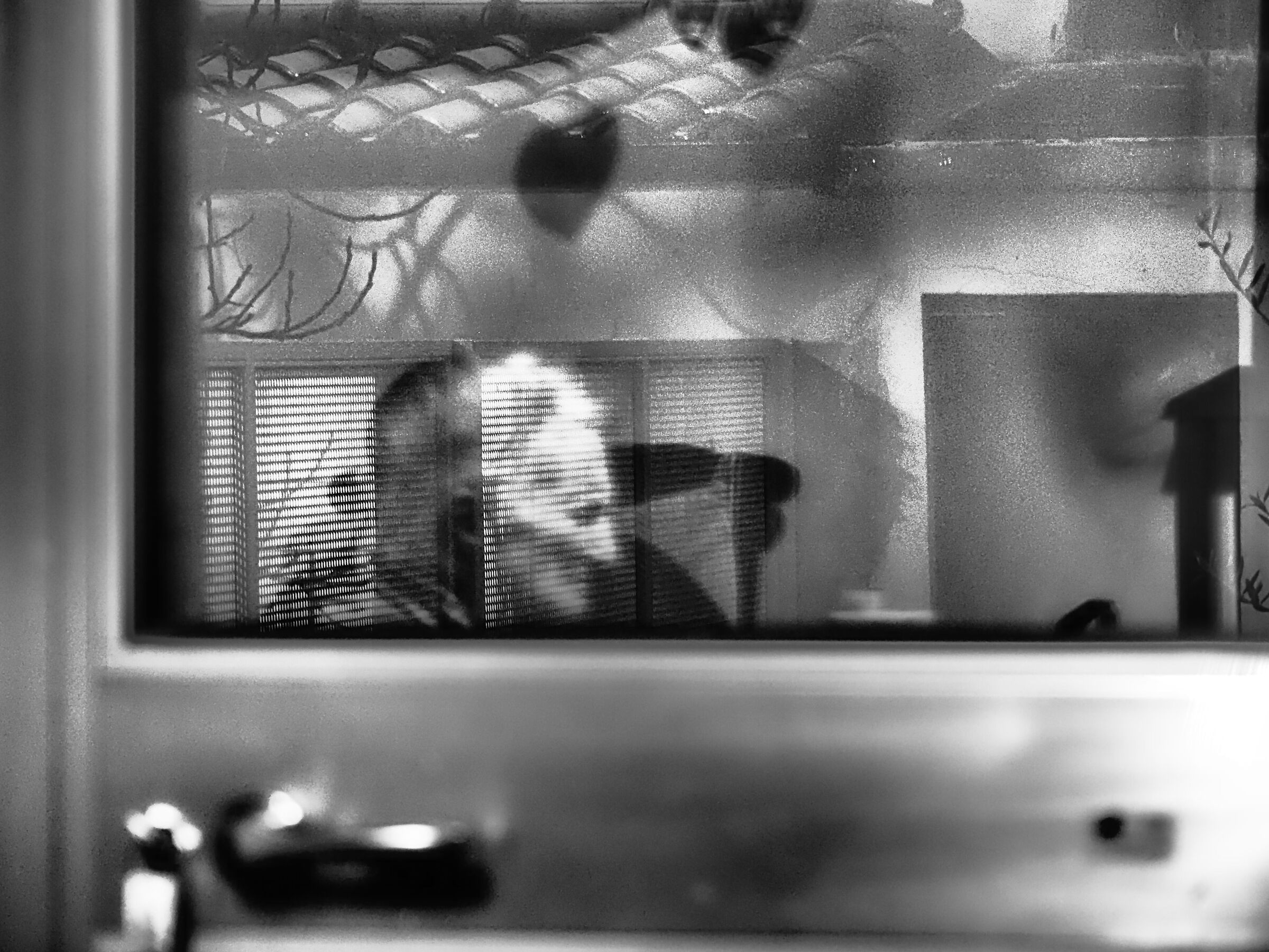 Untitled Photo