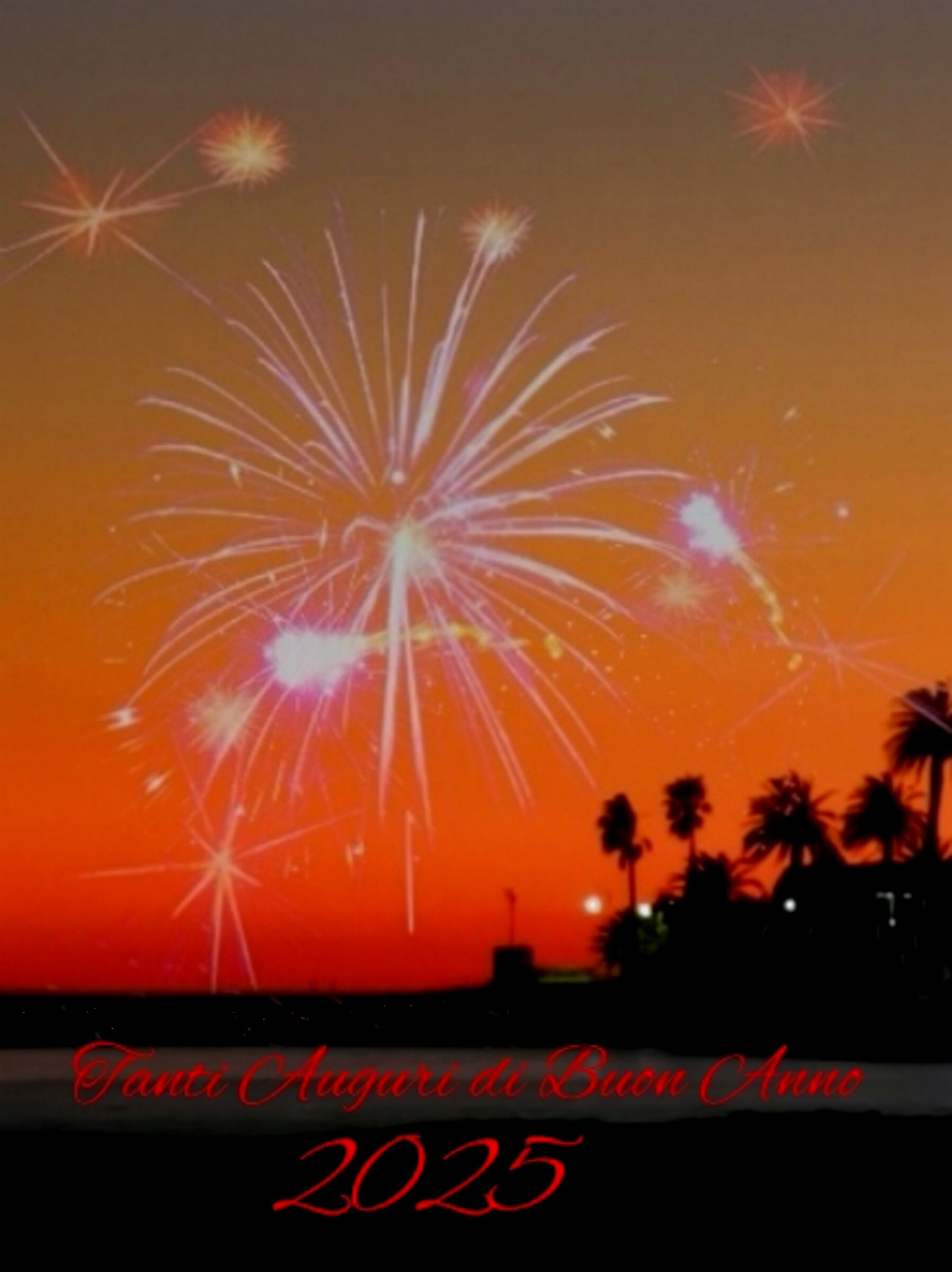 Auguri di Buon Anno 2025 a tutti gli amici Juzzini