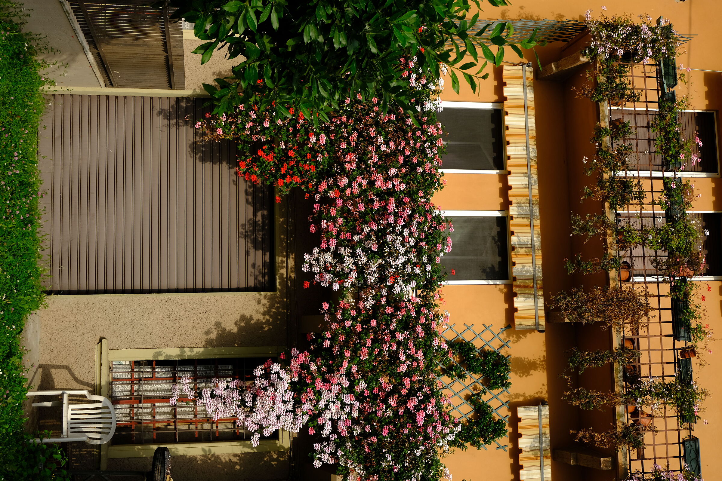 Untitled Photo