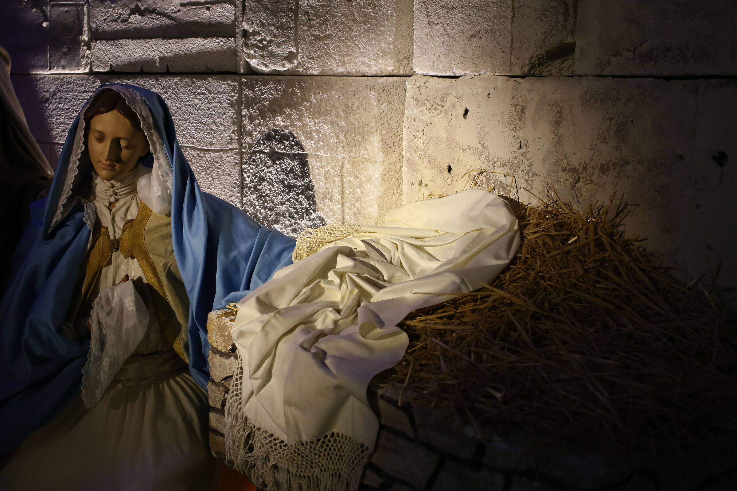 Milvus Zeiss 50, 1.4- Canon 6 D