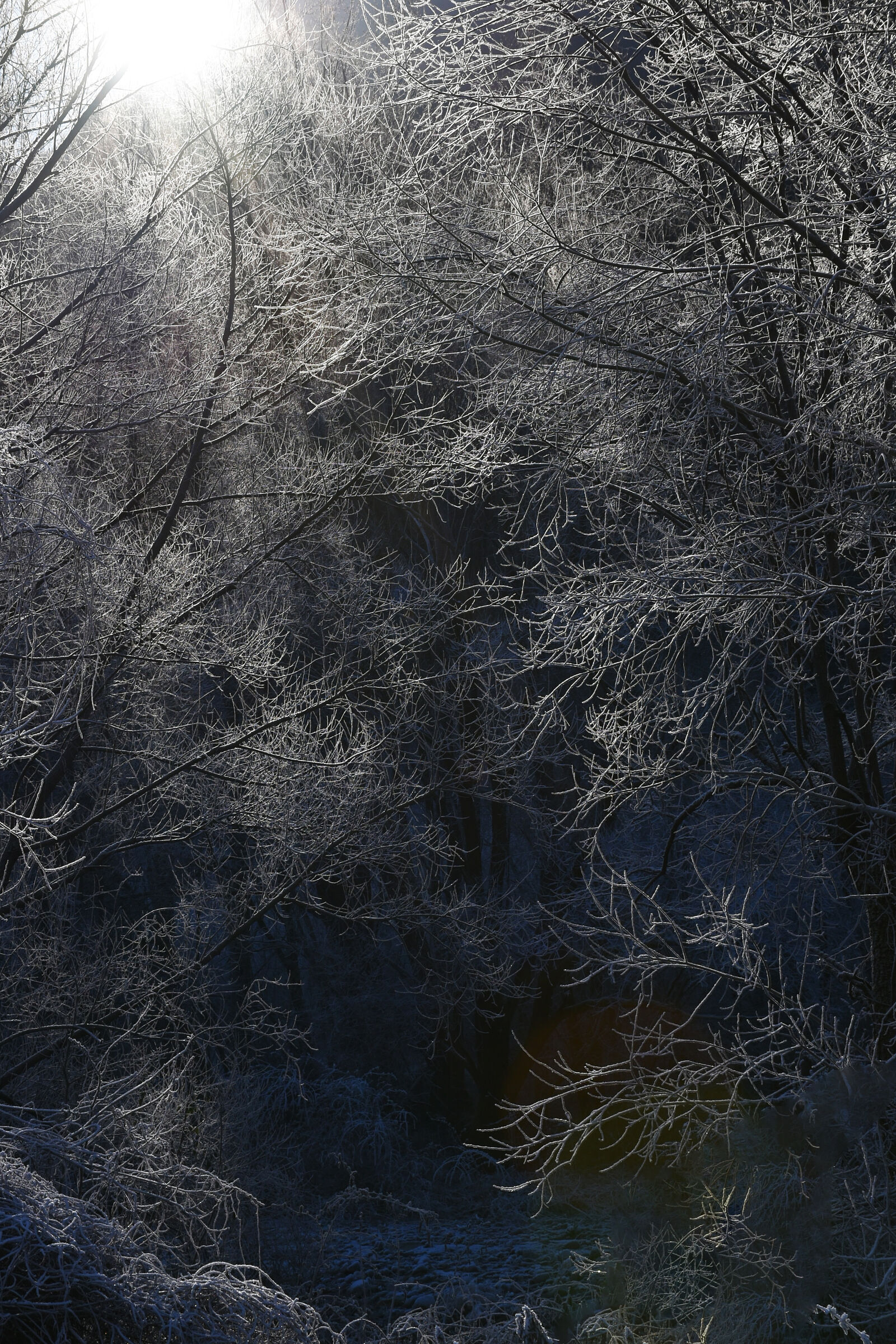 Untitled Photo