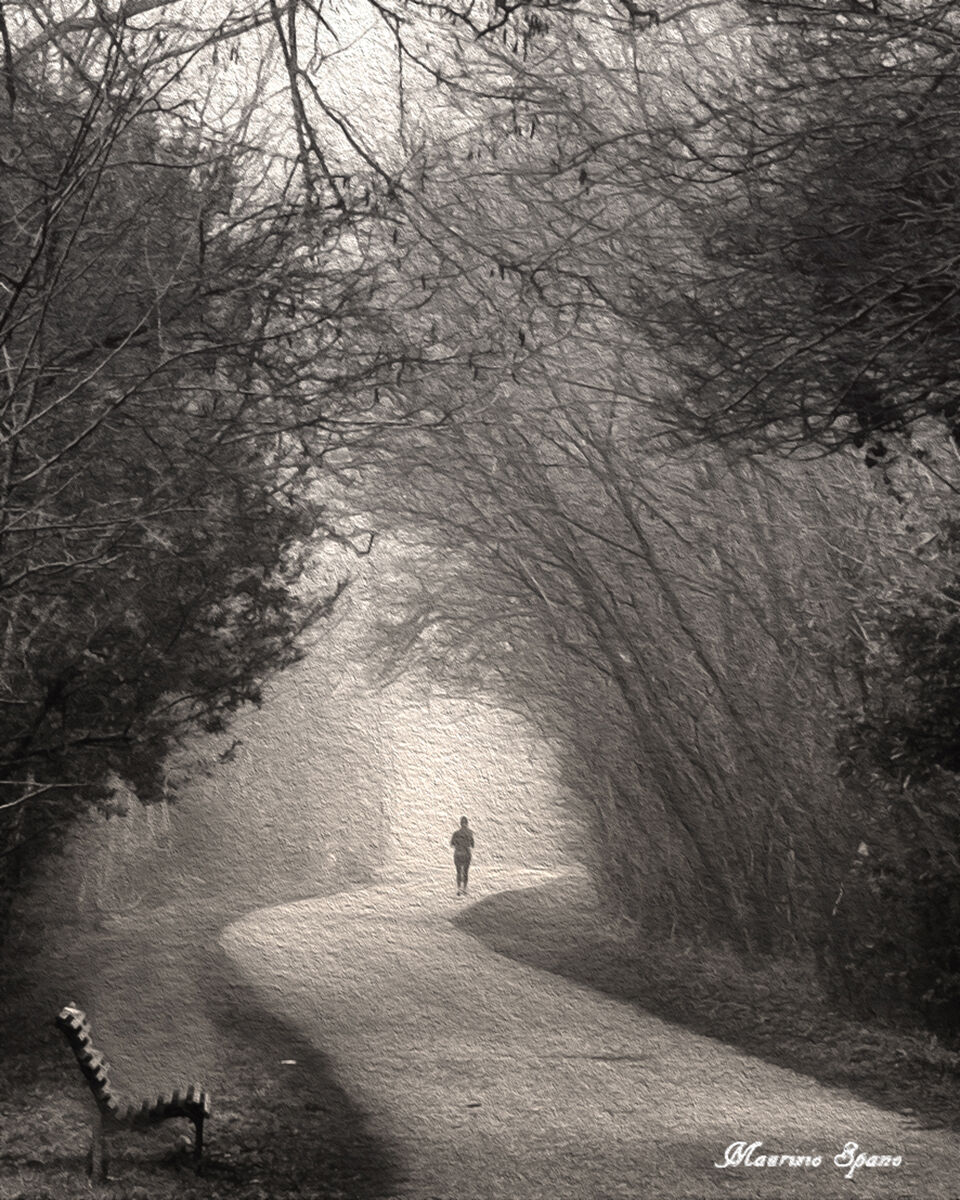 S'inizia il cammino (primo dell'anno)