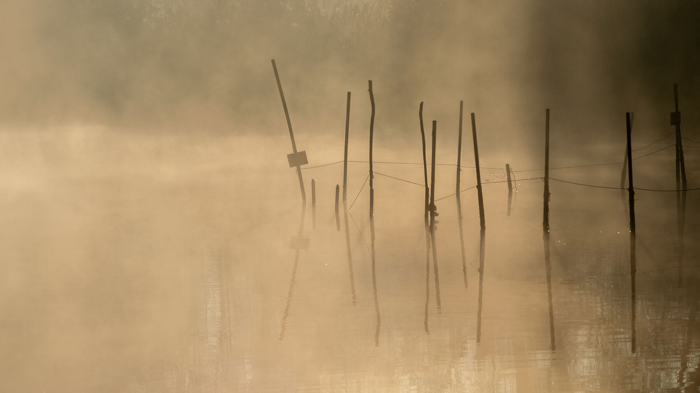 The silence of the river at dawn
