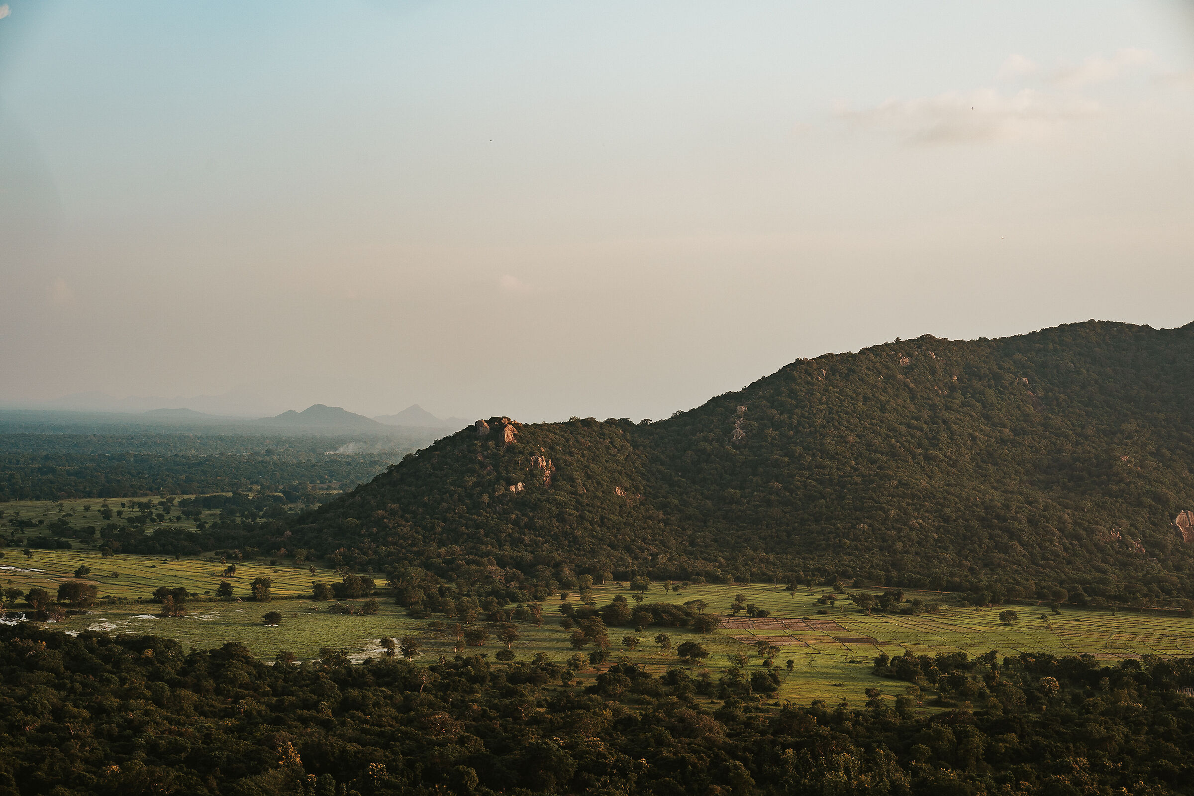 risaie e monti di Sri Lanka