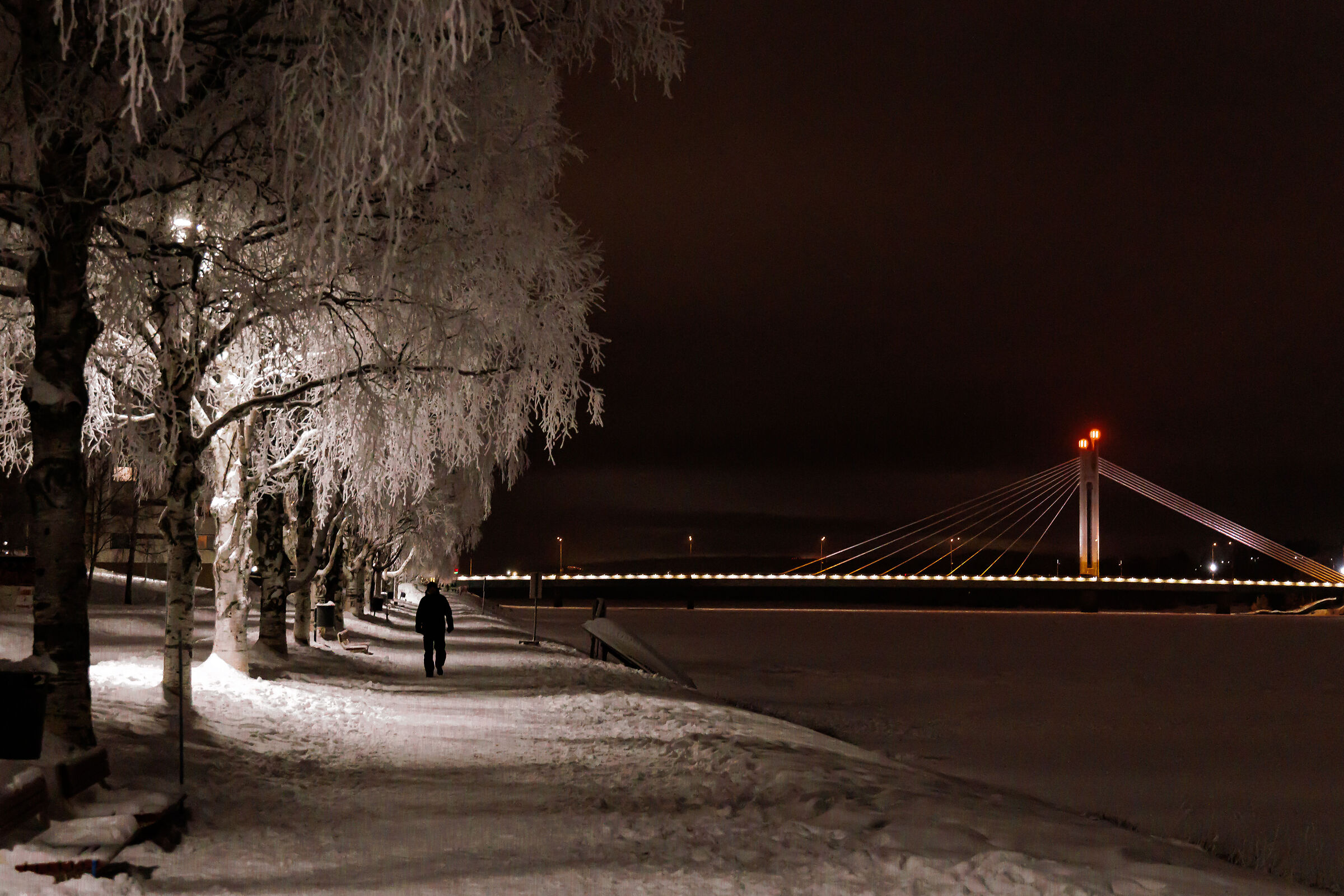 ponte di Rovaniemi