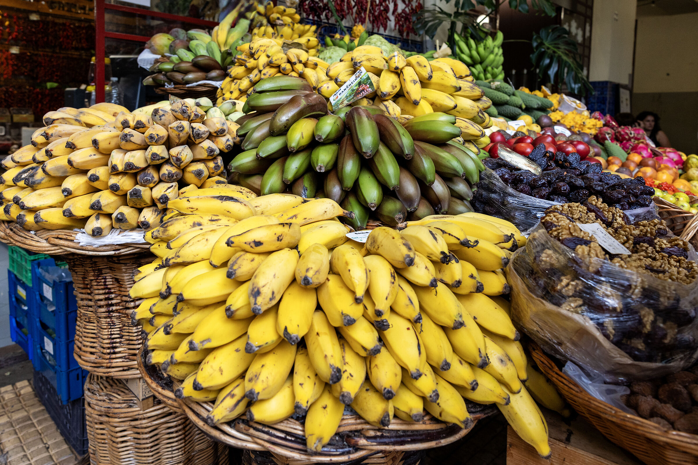 madeira-004