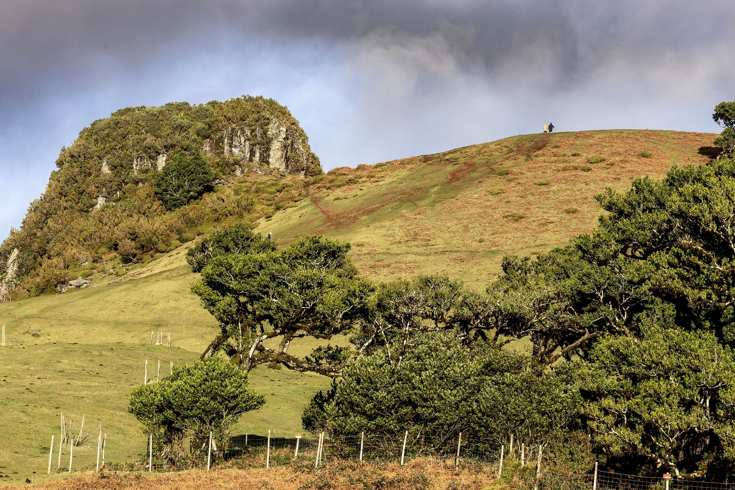 Madeira Island-041