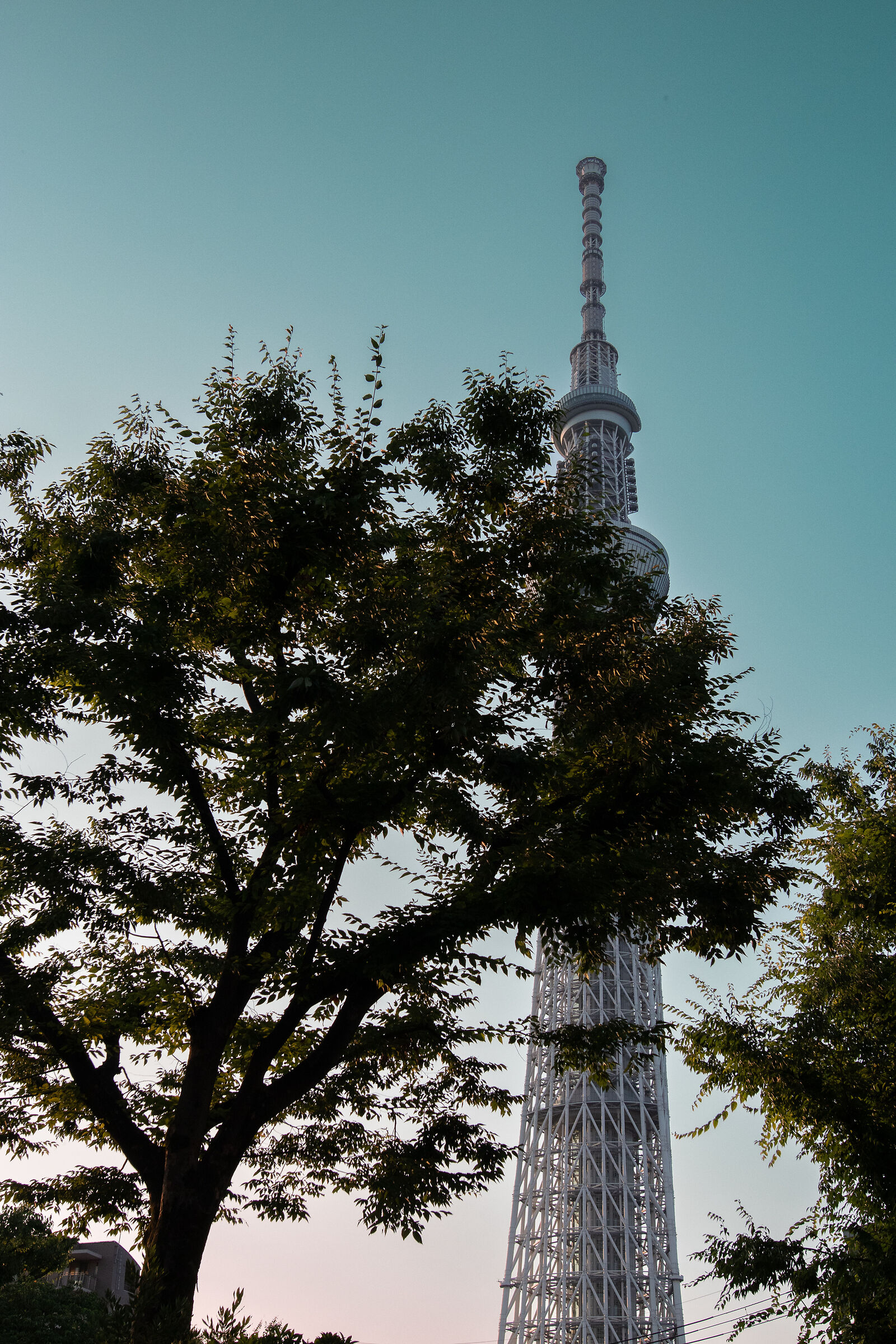 Tokyo Skytree