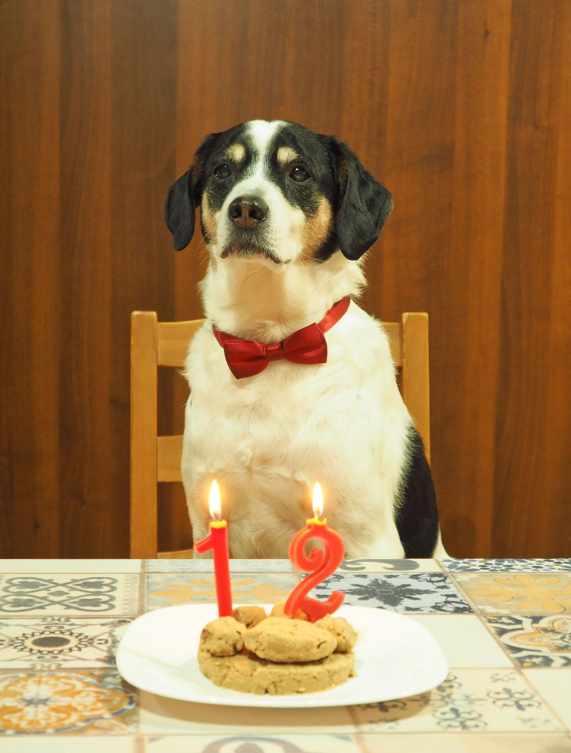 Tommy ... oggi sono 12 anni...