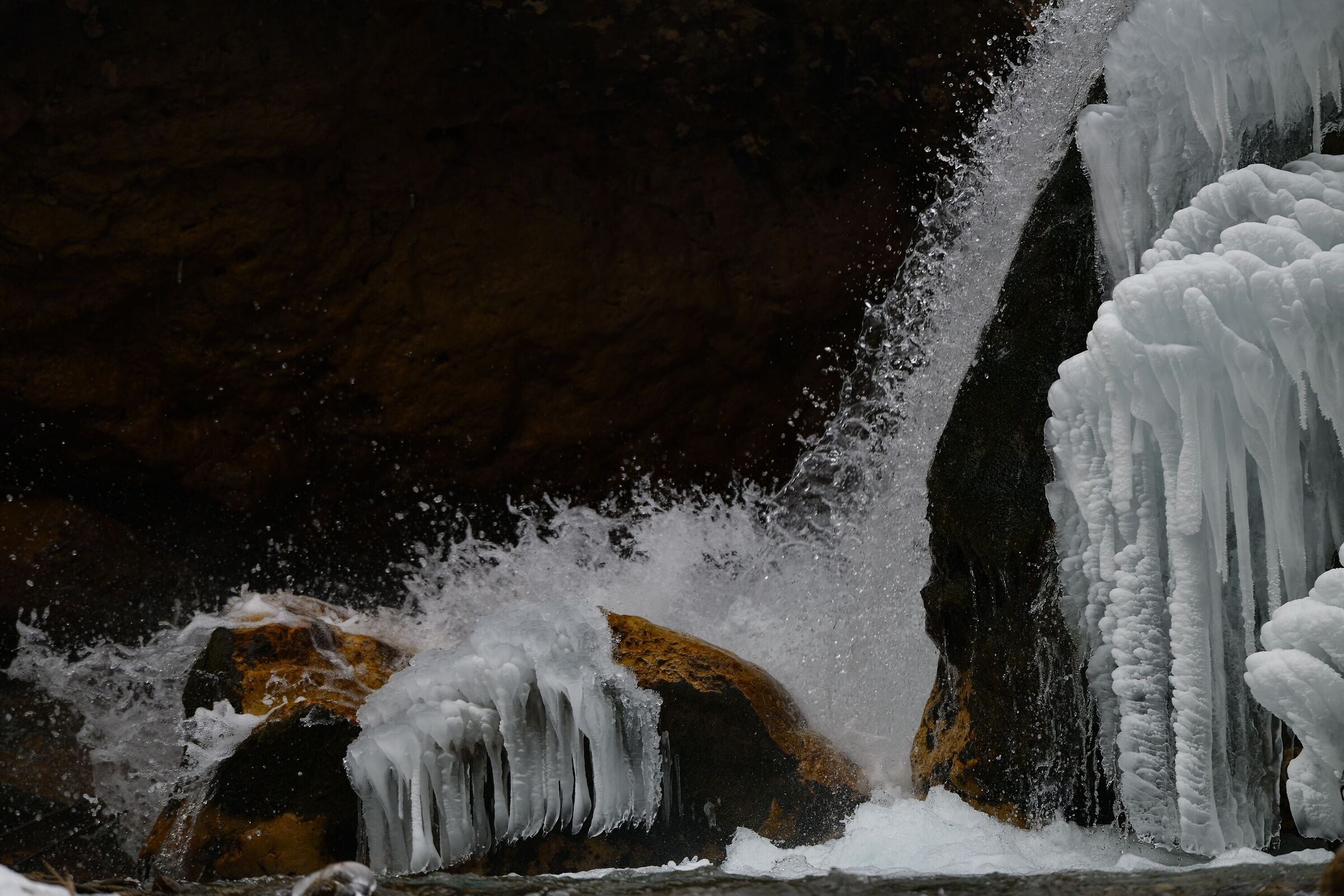 the Piave near the source...
