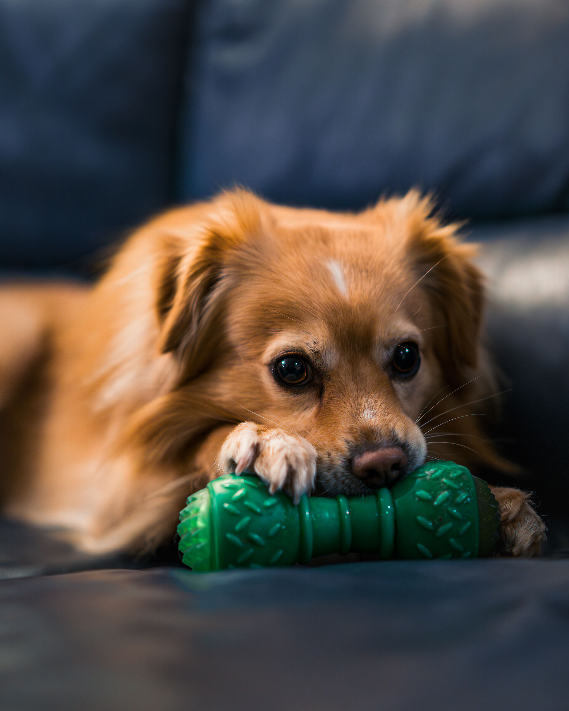 Are you coming to play?