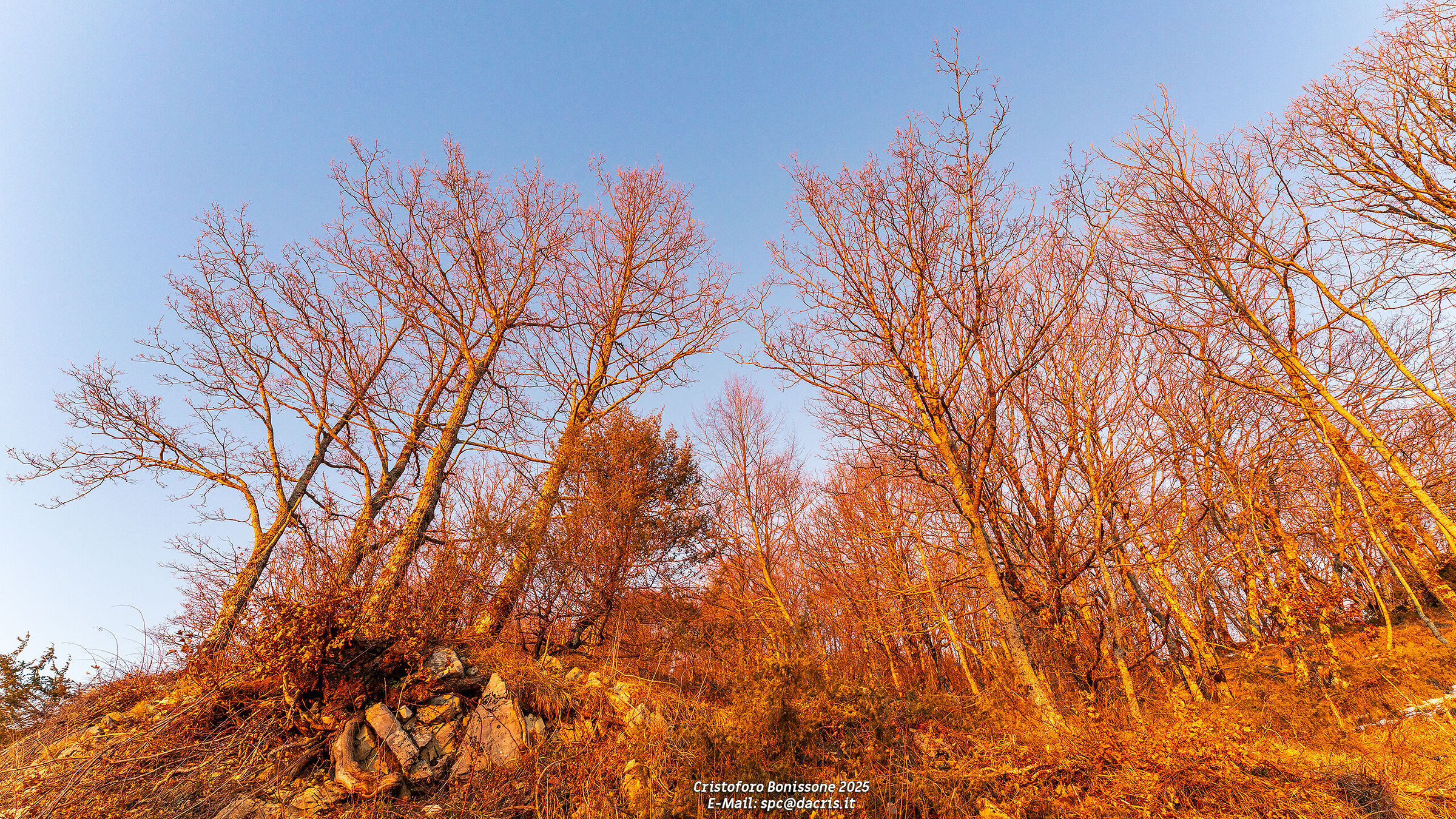 Tramonto Al Terminillo Alberi