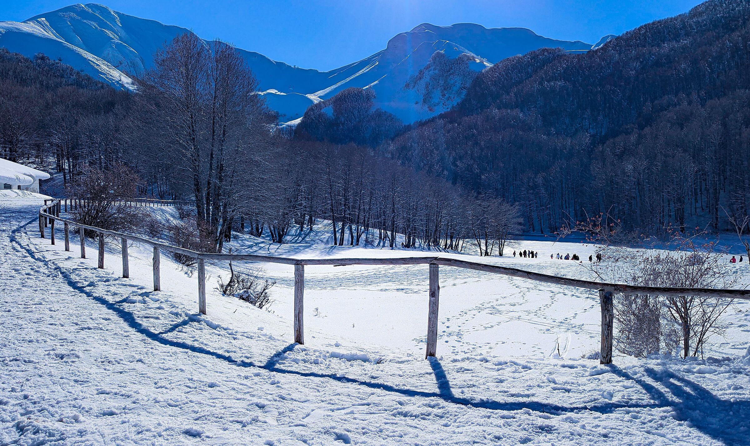Snowy landscape