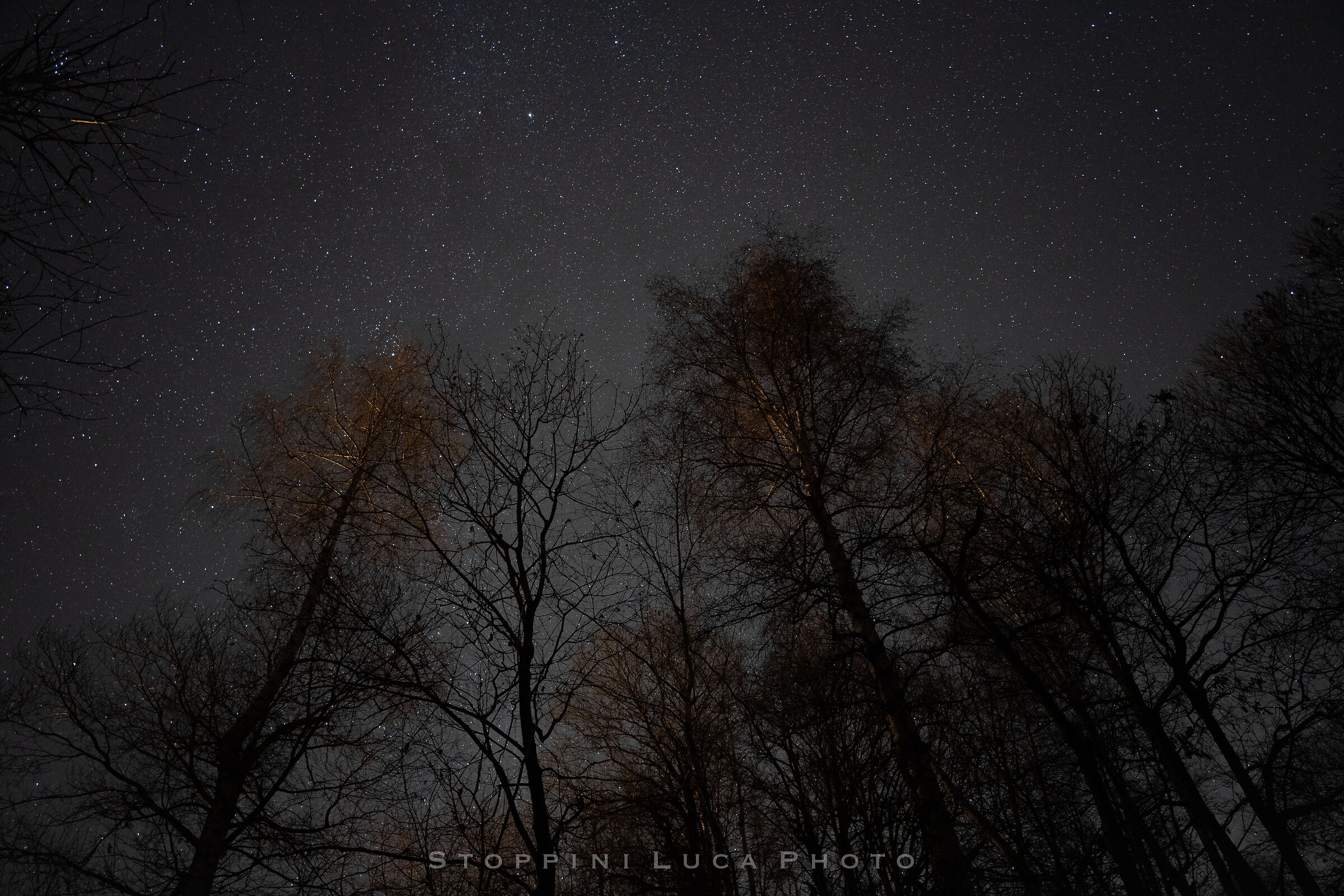 Carpet of stars
