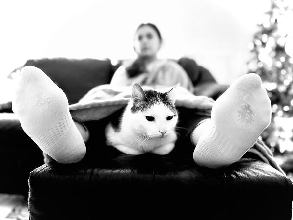 Foto