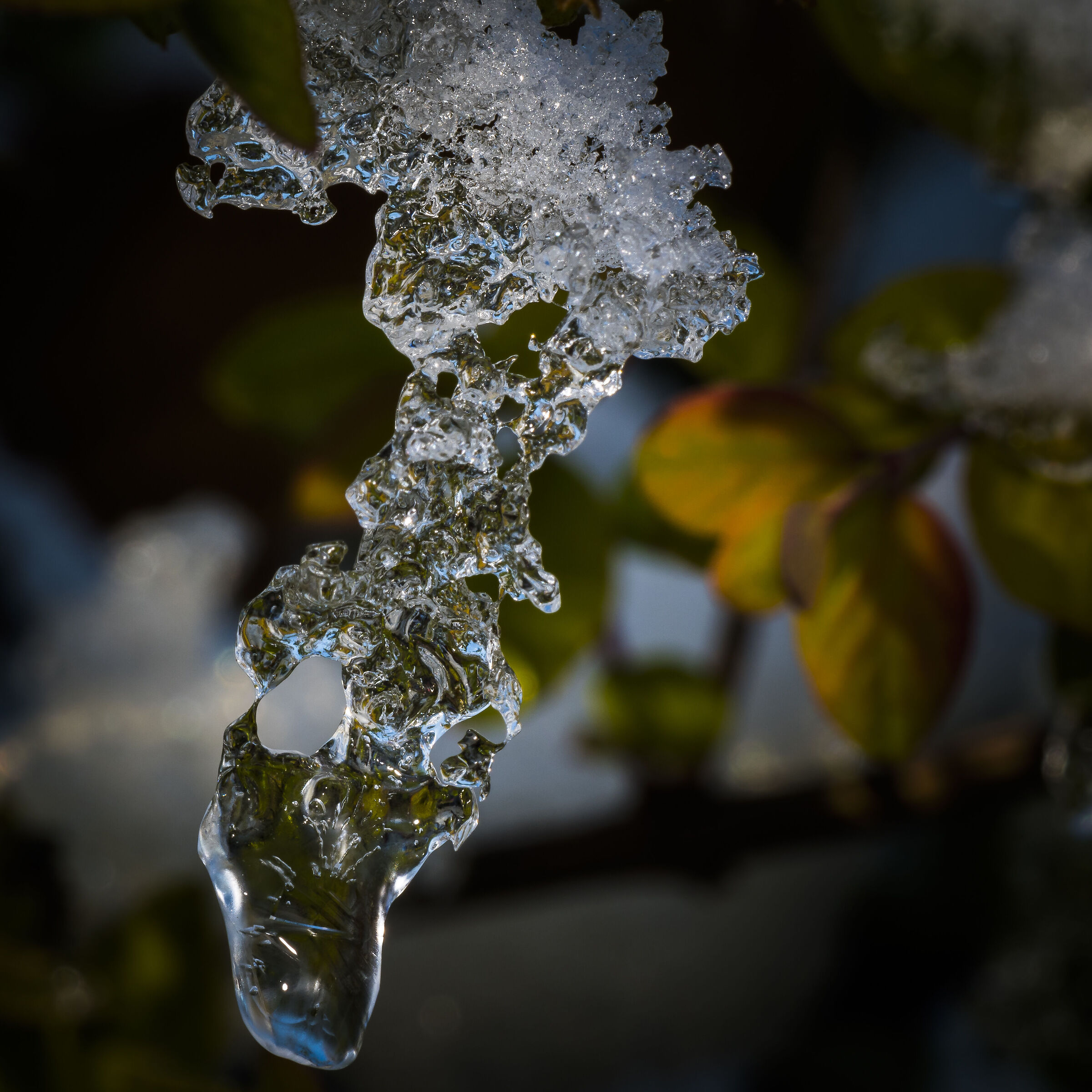 Autunno e inverno