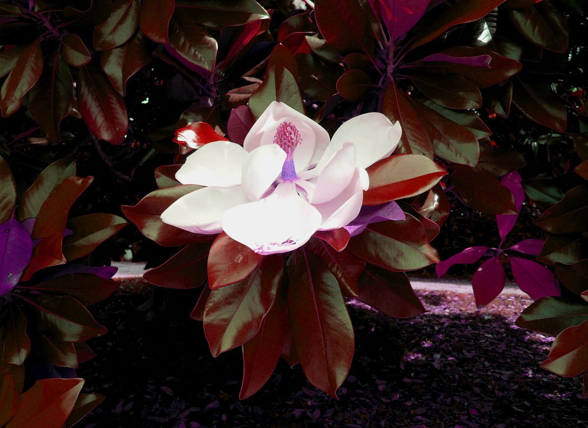 Un tocco alternativo