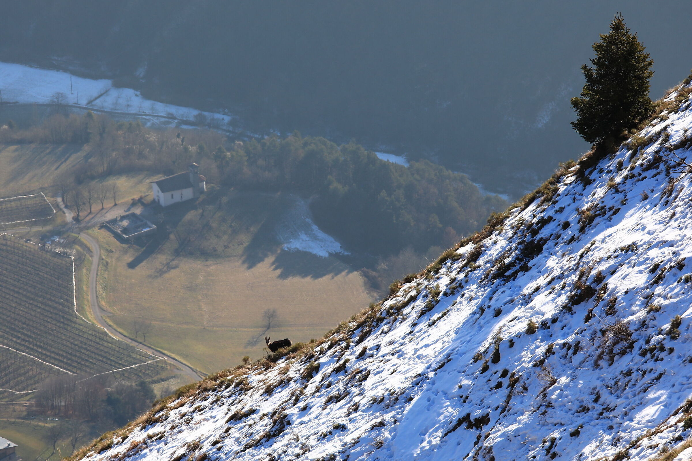 "Amici" al ritorno da Cima Séra