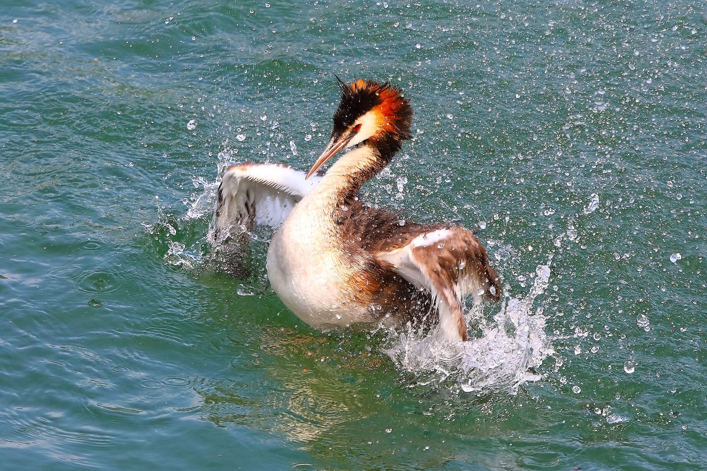 Svasso 07 agosto 2024 - 0230