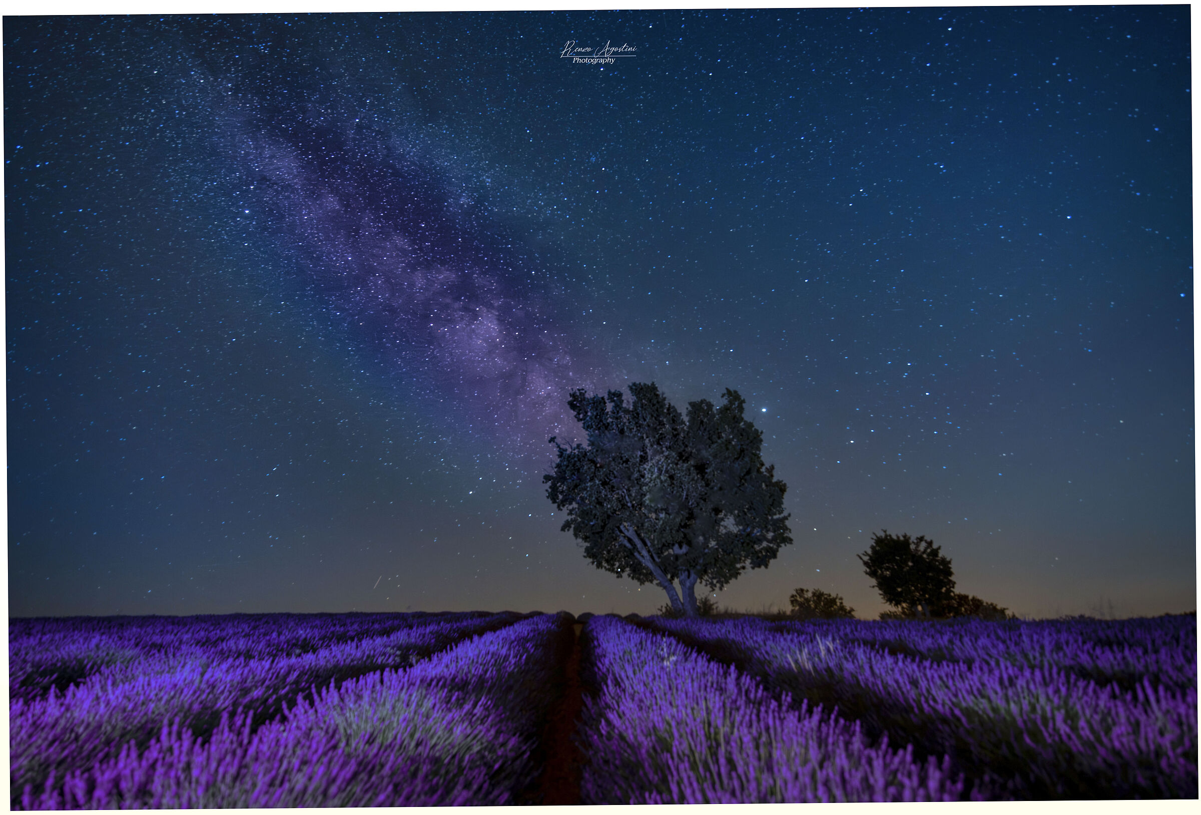 Milk way in Valensole-Provence