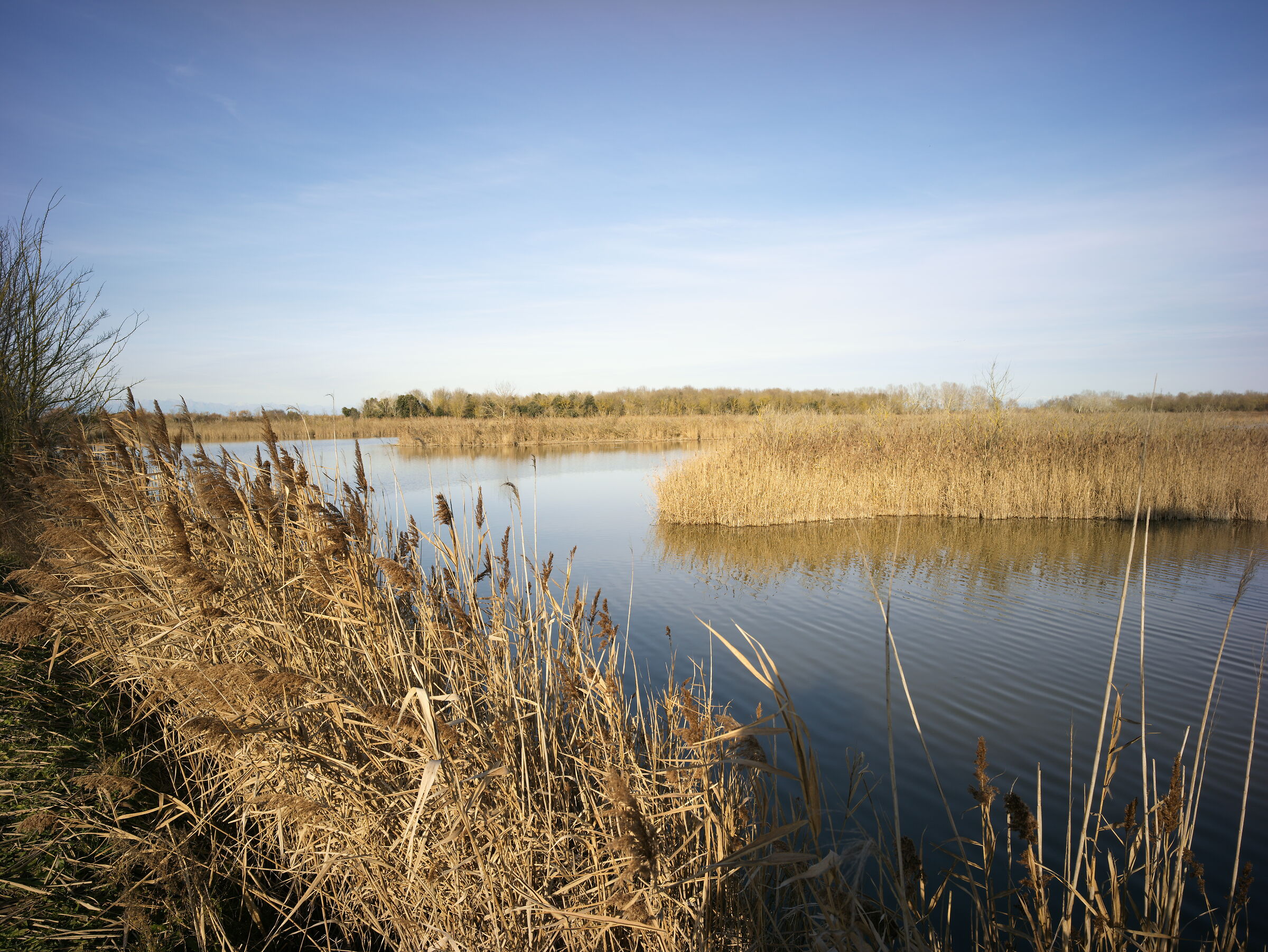 Brussa Natural Oasis