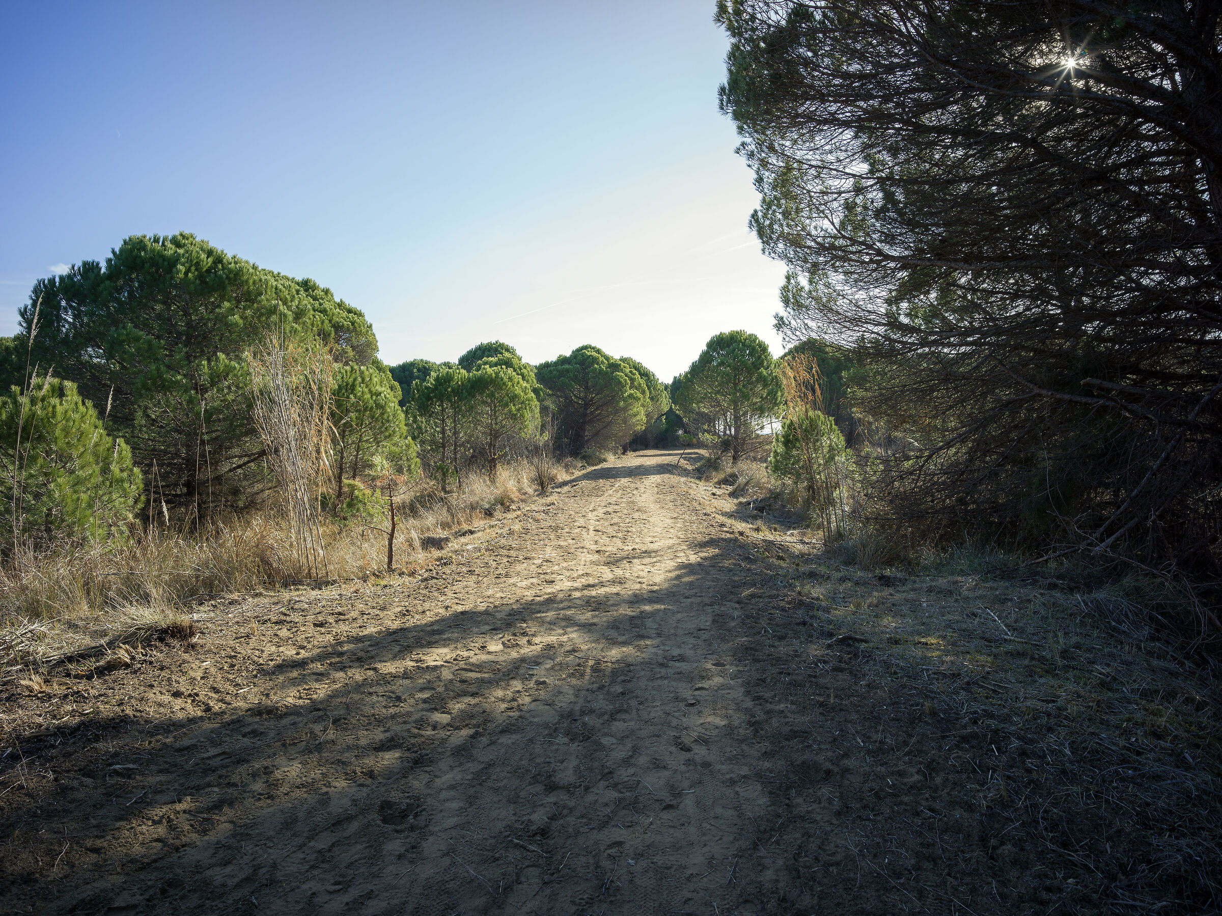 Brussa Natural Oasis