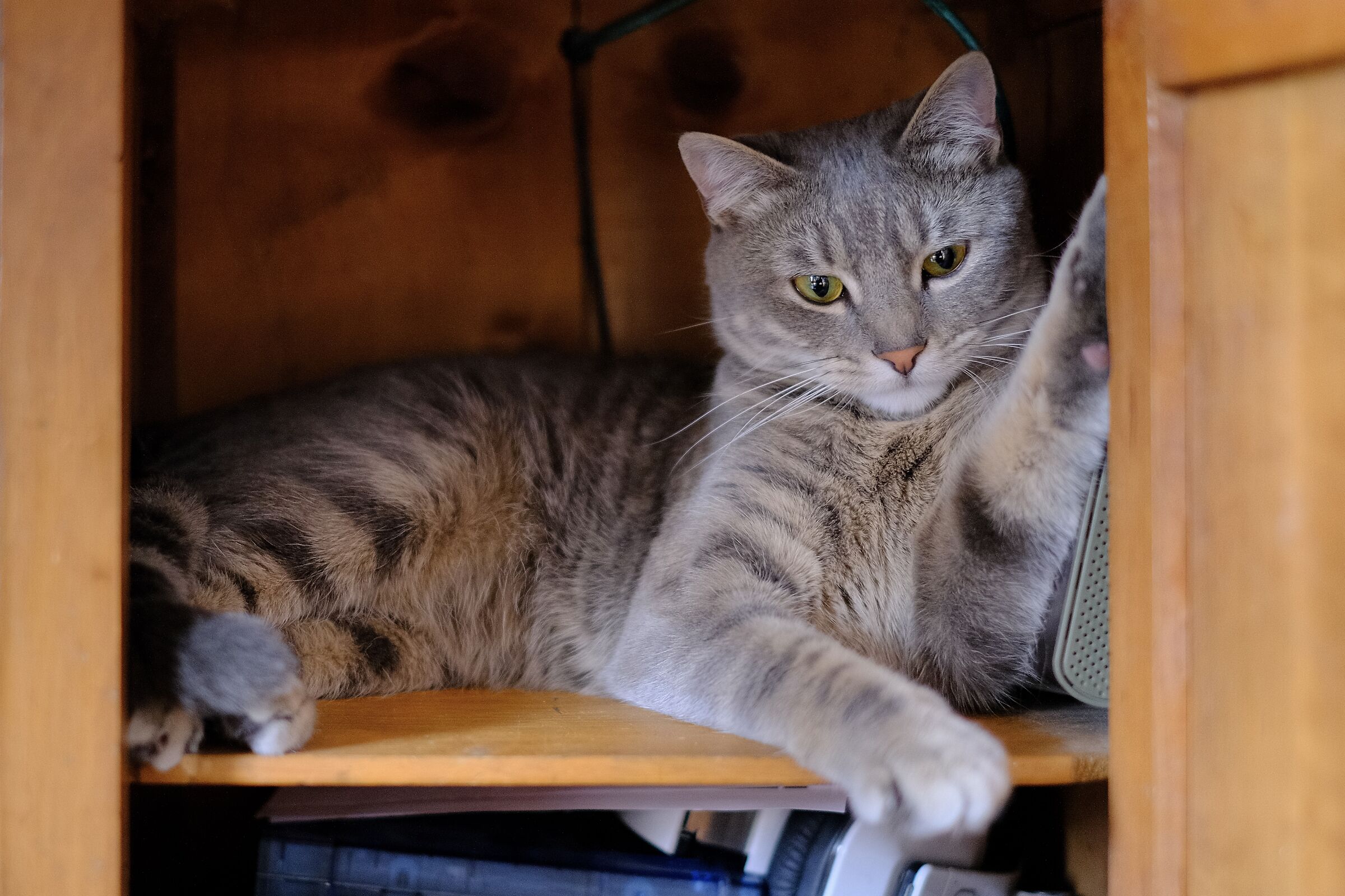 Zelda Verifica Spazio Mobiletto