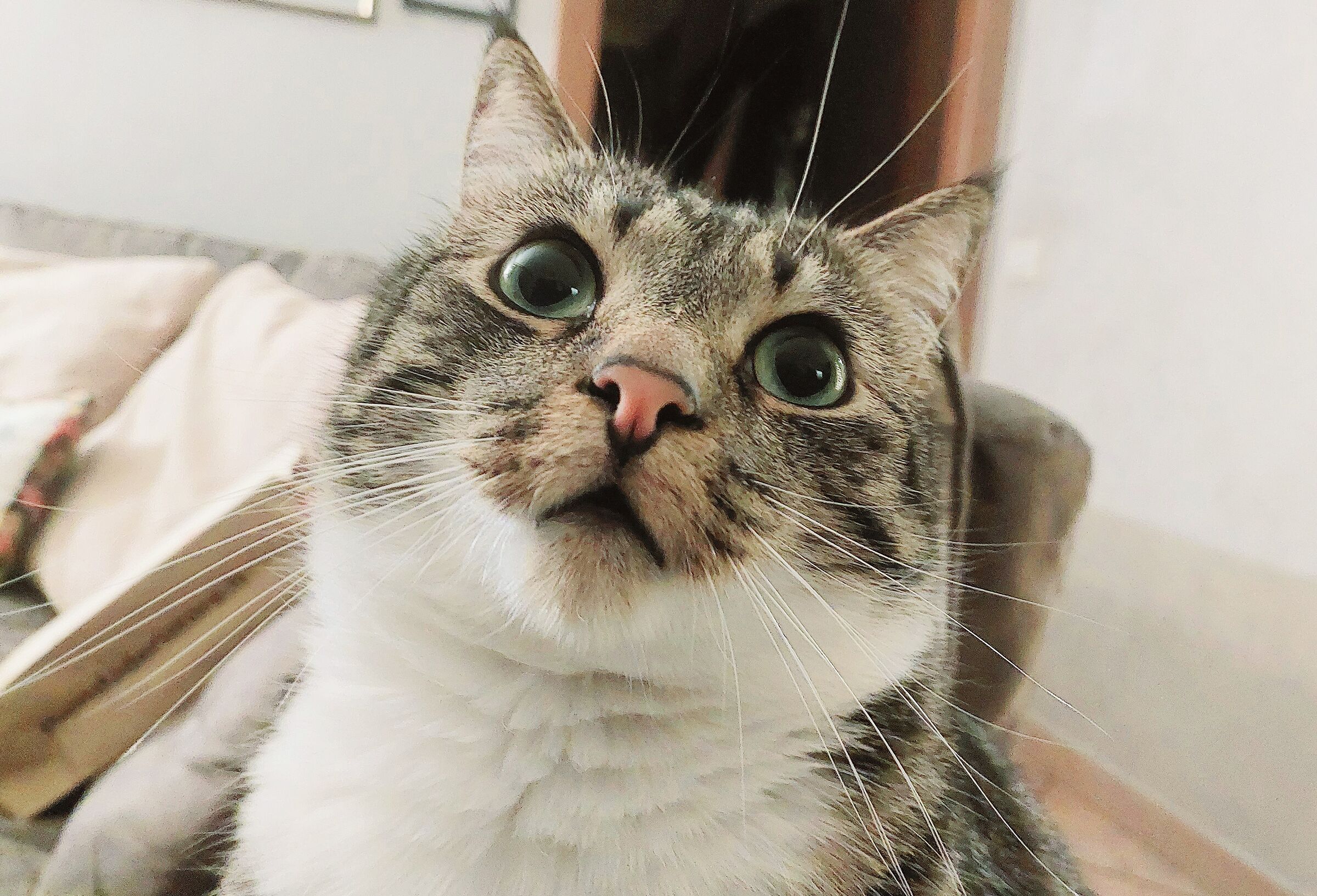 Am I innocent.....