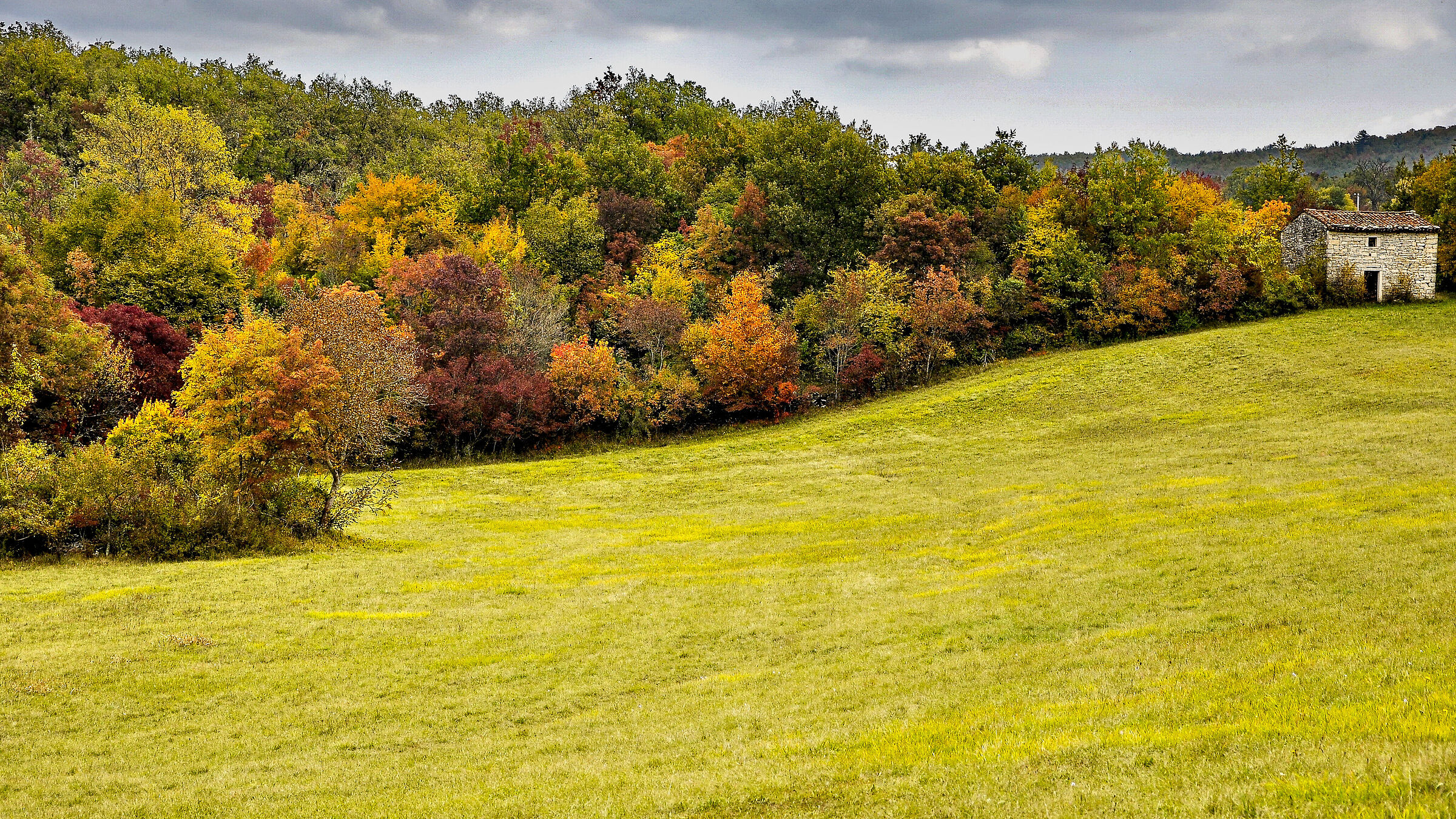 Autumn in Istria