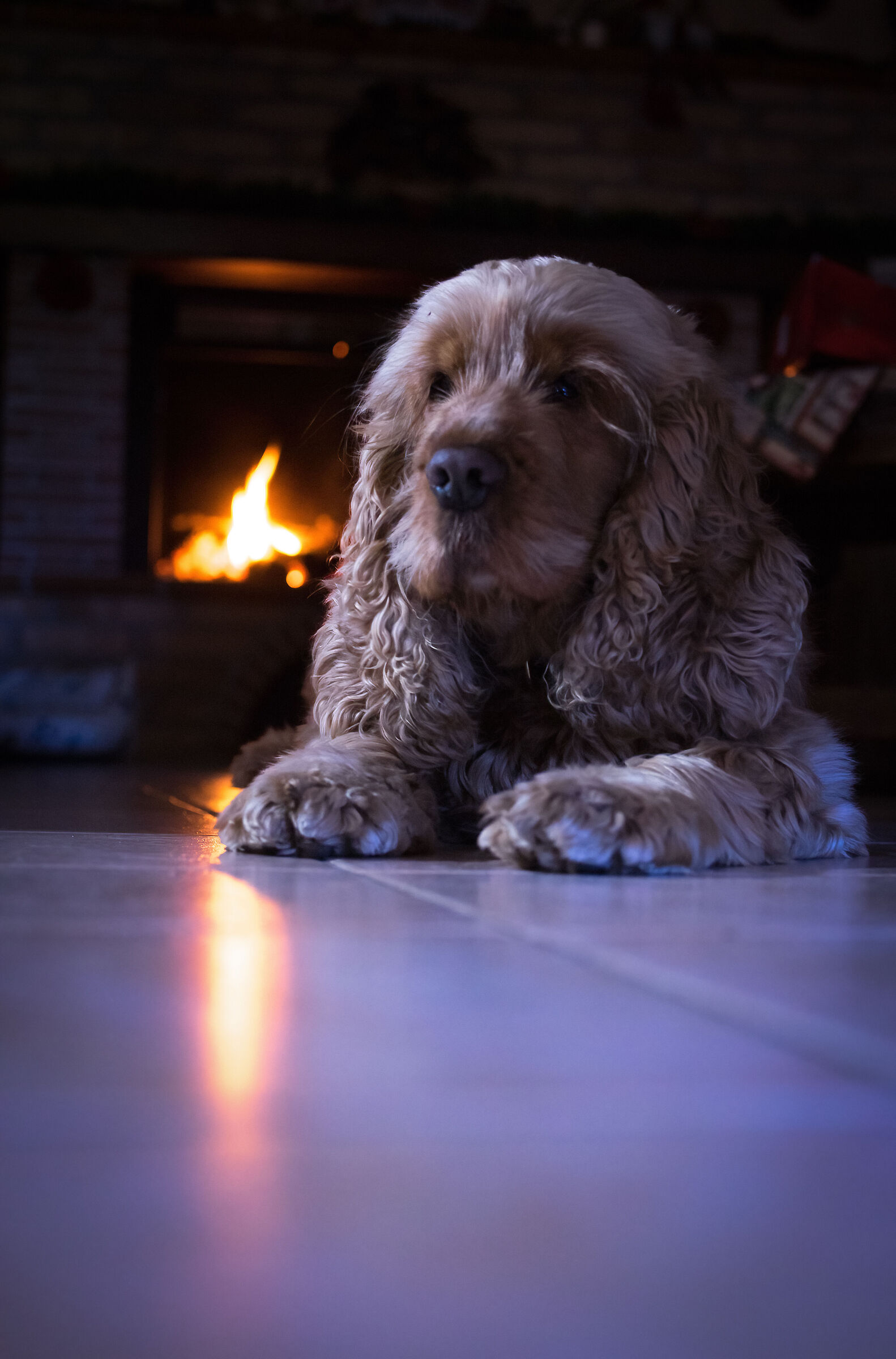 aspettando la Befana