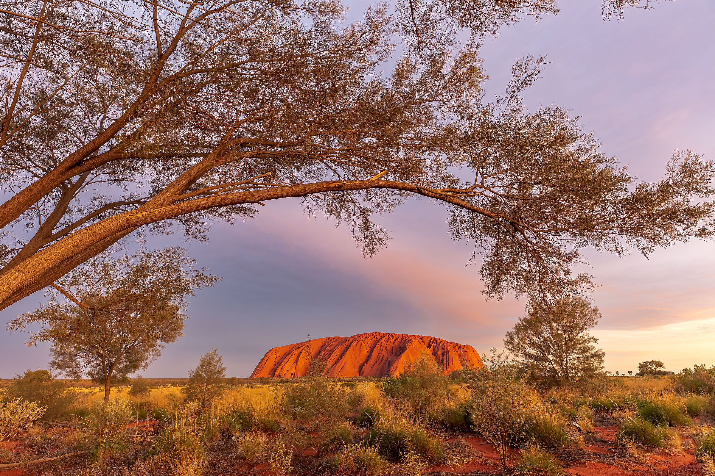 Uluru at sunset (framed)