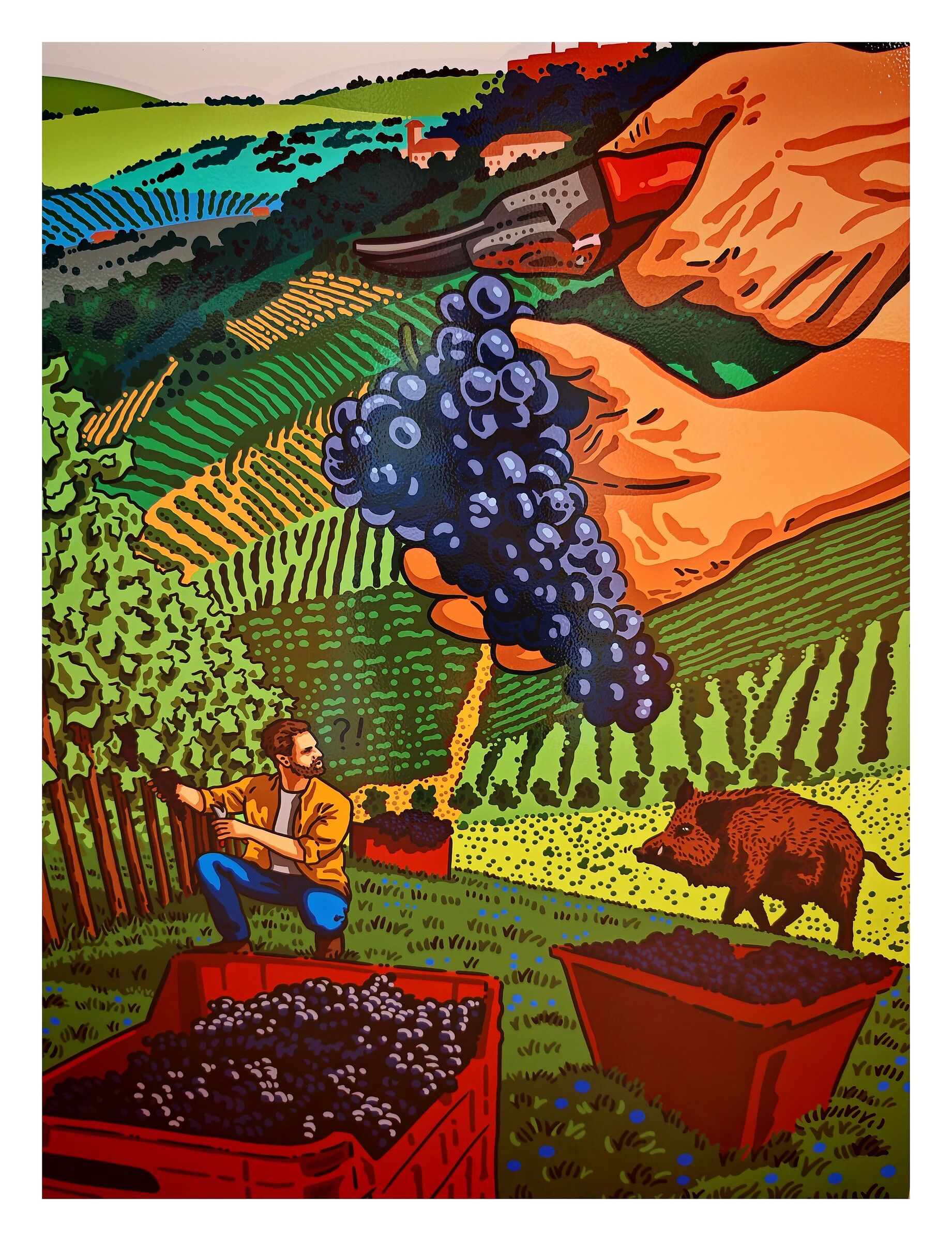 Colorful summary of some typical Langhe products