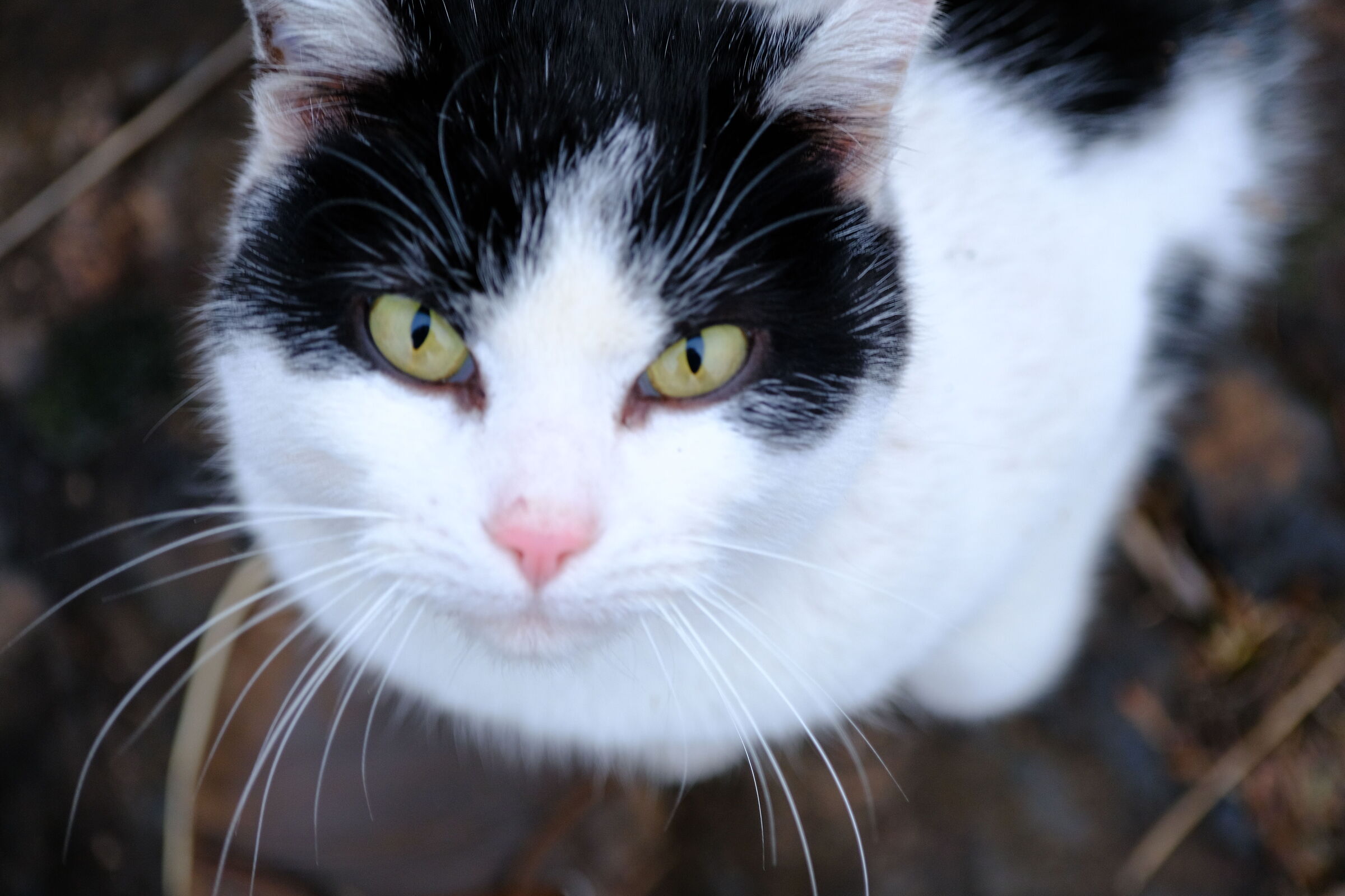 Encounters (the good ones) :-)